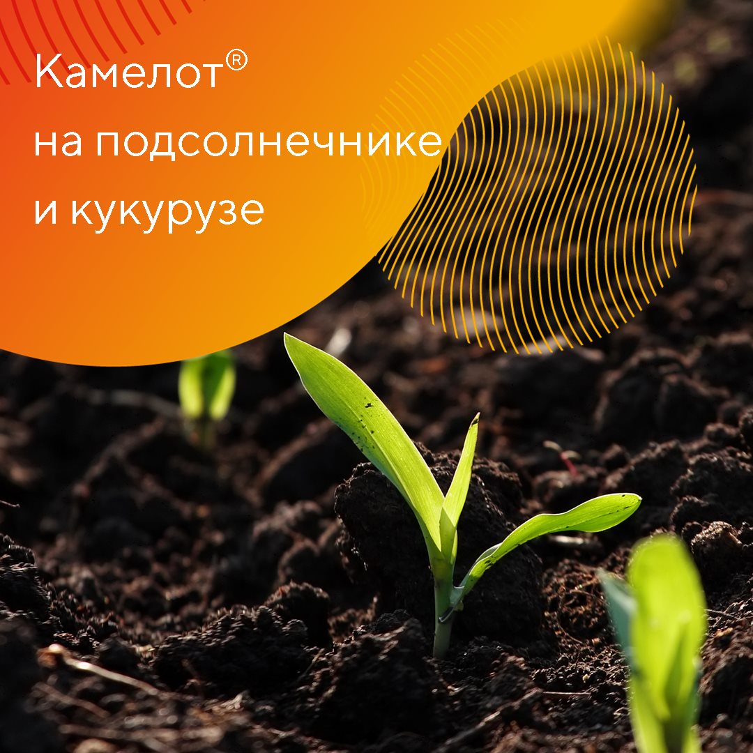 Пост 23.04.2025