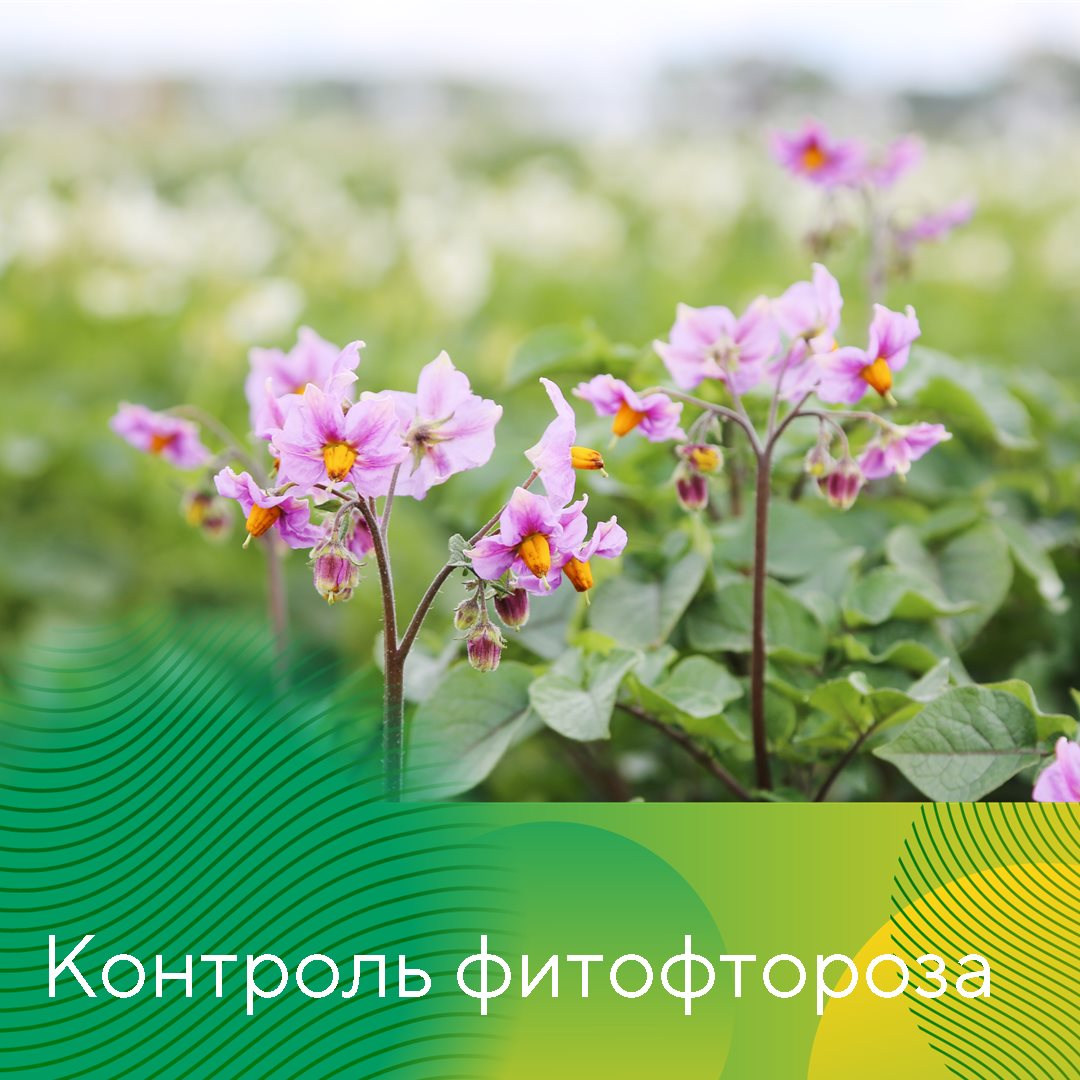 Пост 10.06.2025