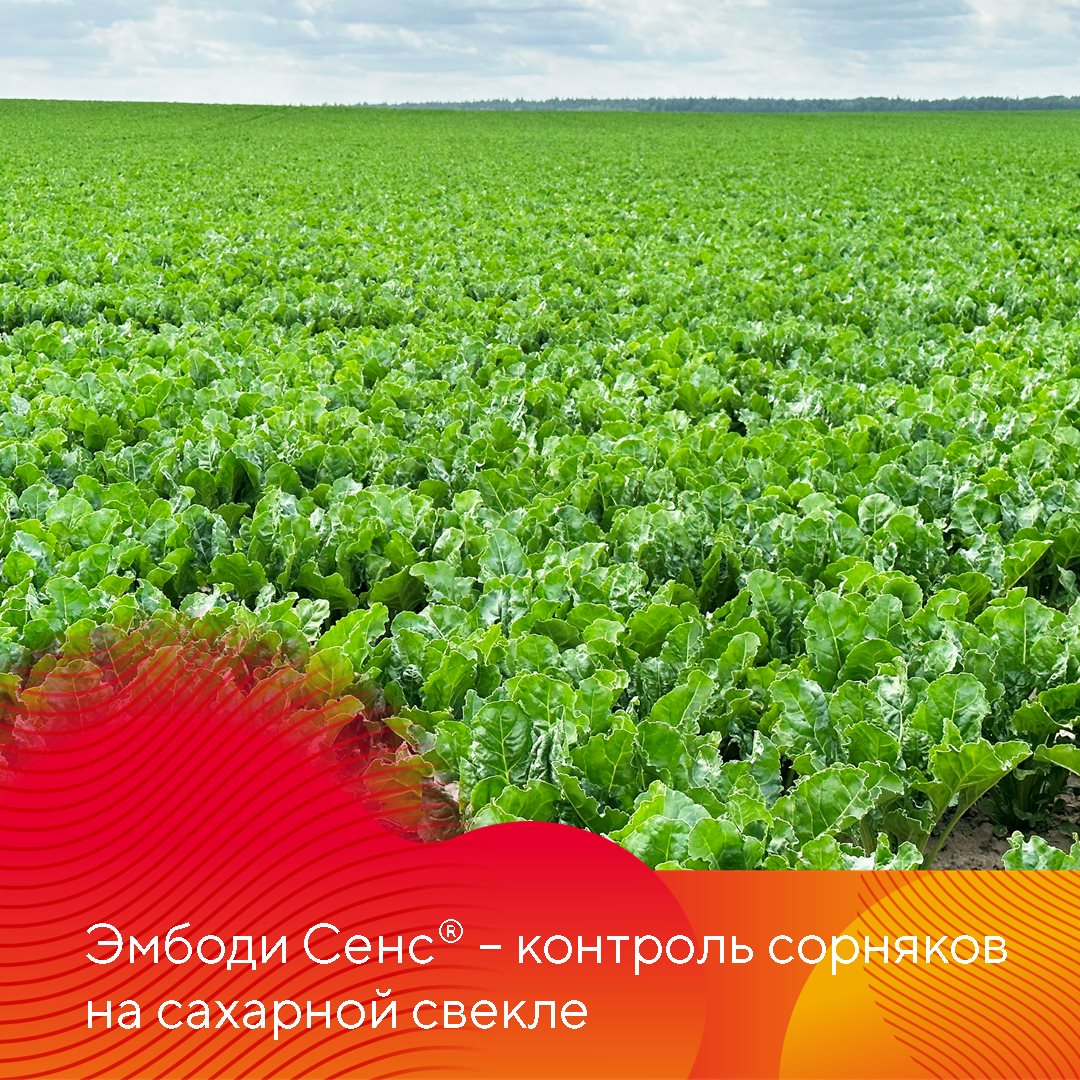 Пост 13.10.2026