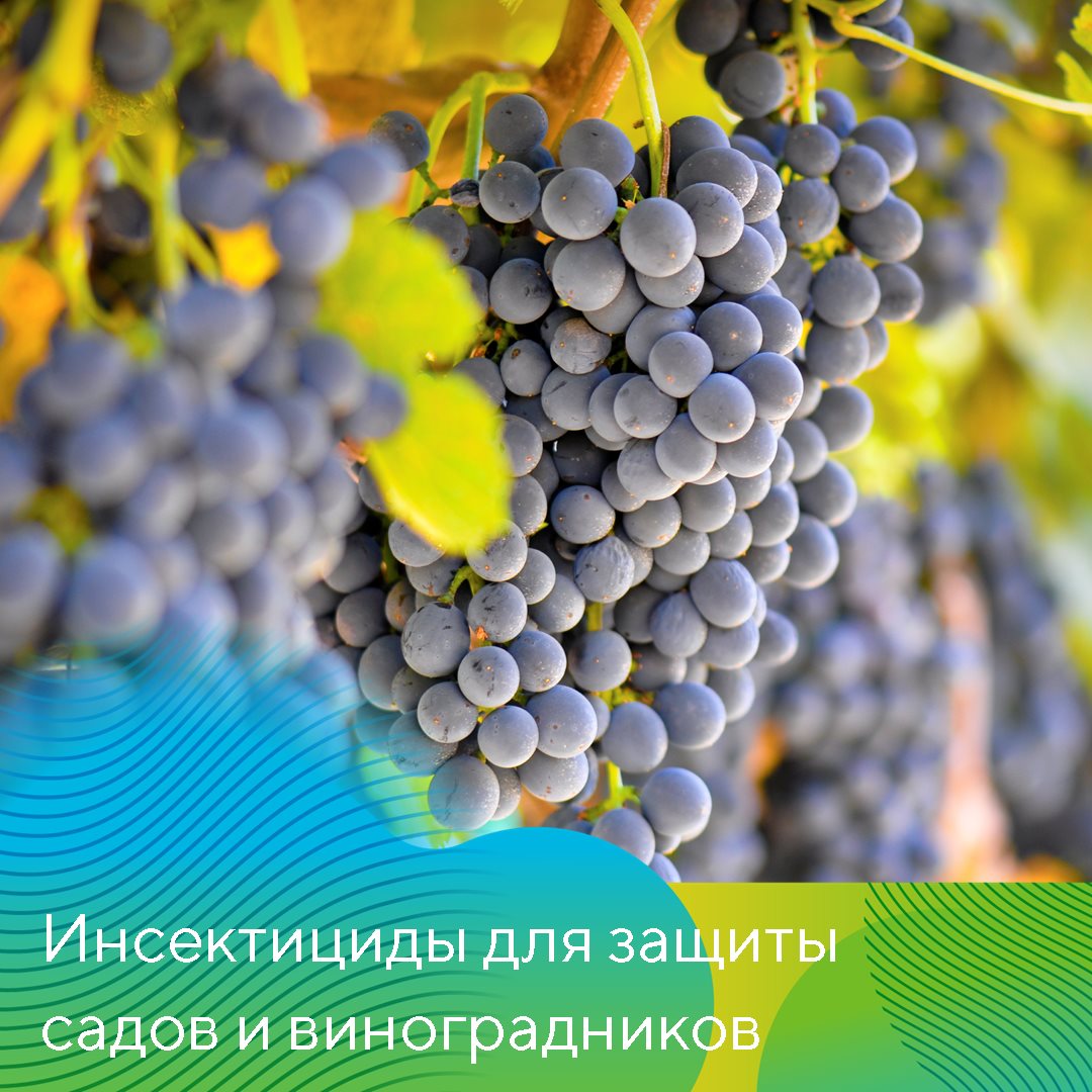 Пост 14.05.2025