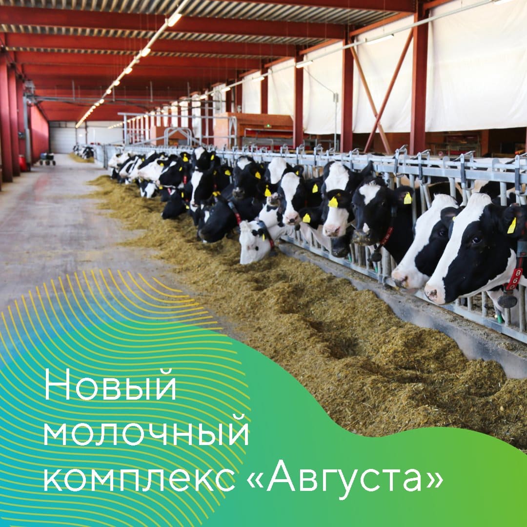 «Август» построит в Кайбицком районе Татарстана крупнейший в Поволжье молочный комплекс