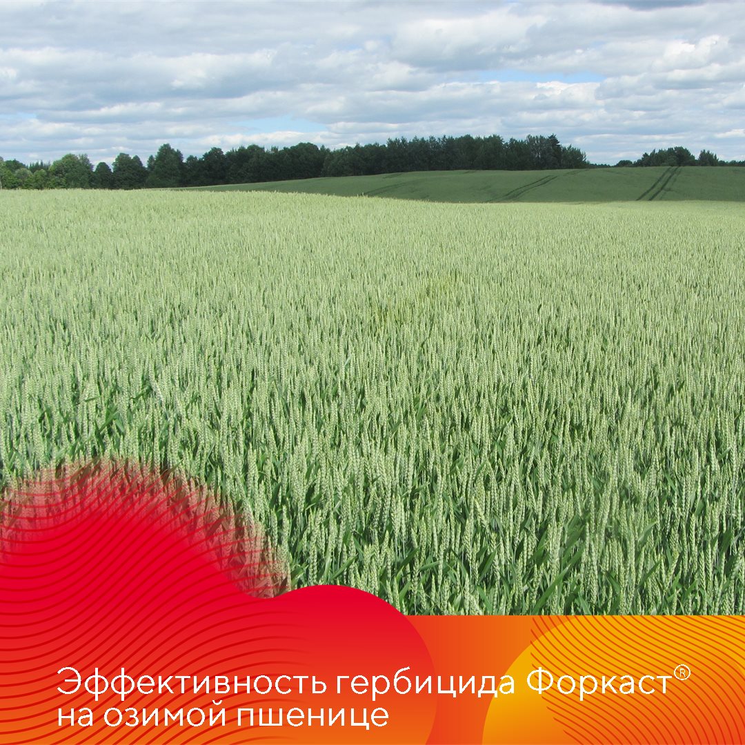 Пост 17.09.2025