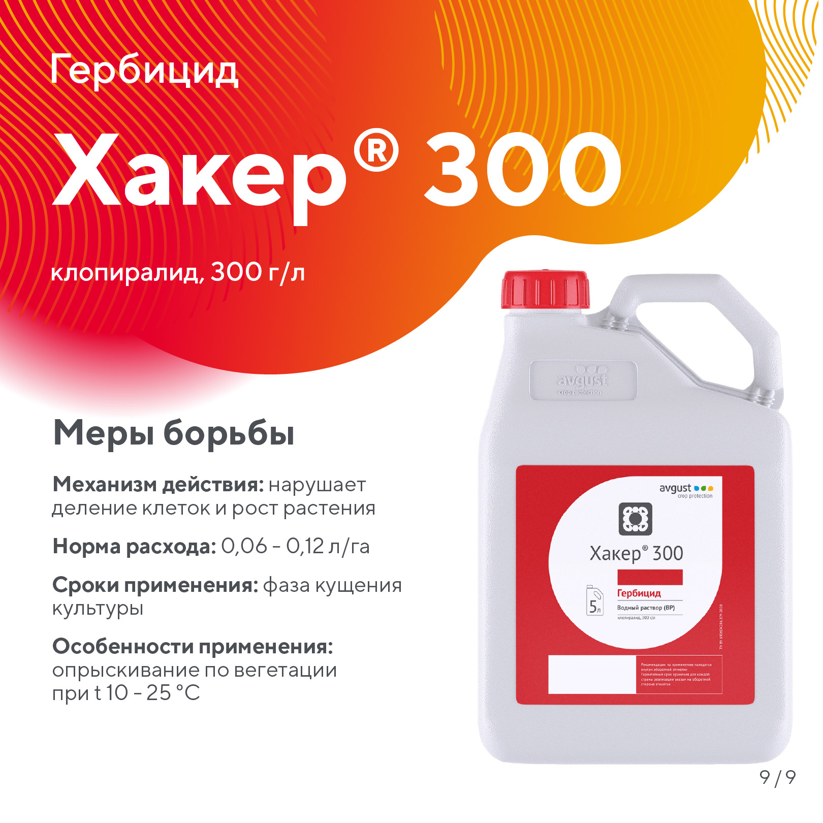 Пост 25.06.2026