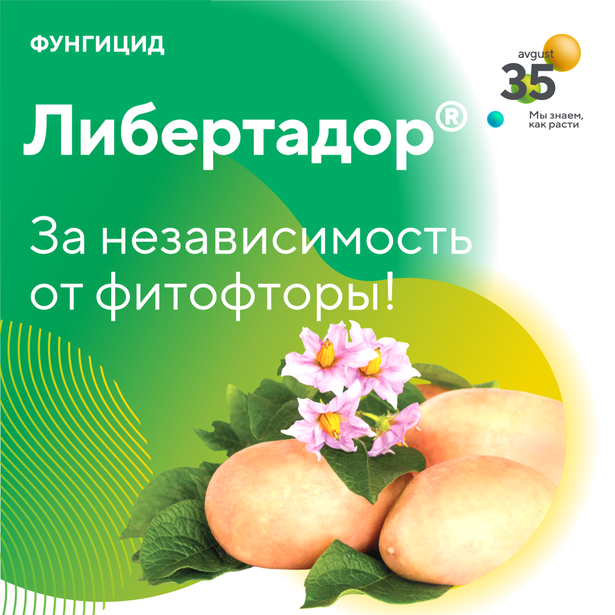Пост 30.06.2025