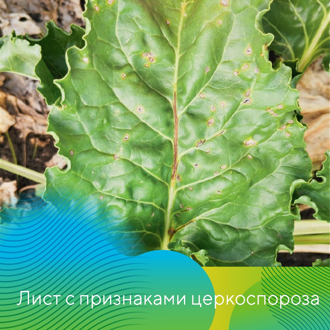 Пост 18.06.2026