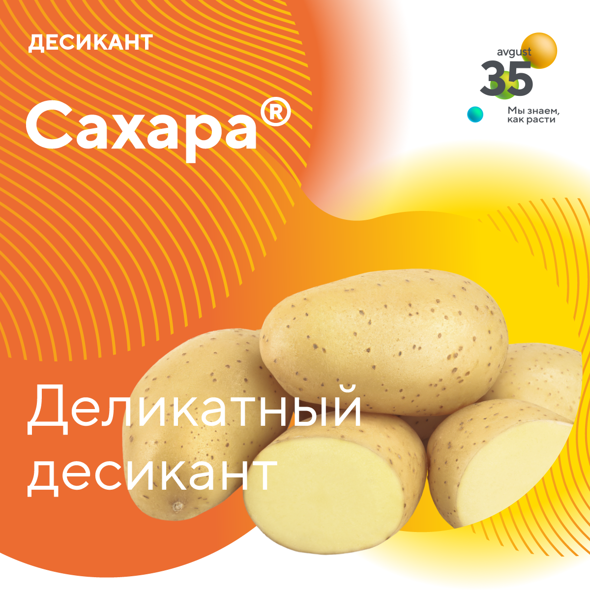 Пост 7.07.2025