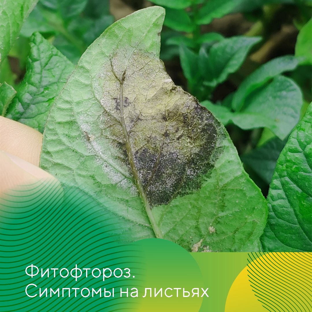 Пост 1.07.2026