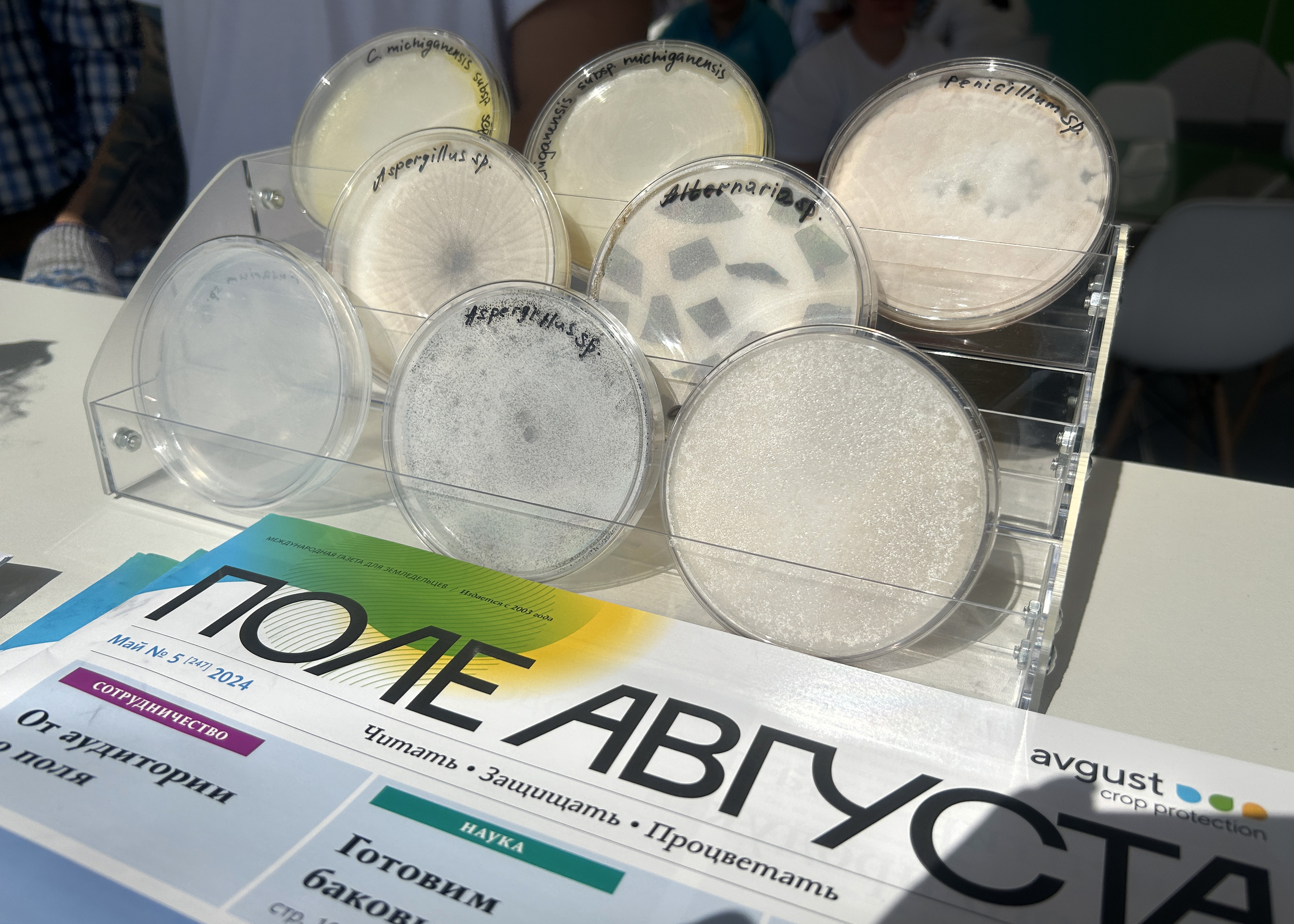 «День Донского поля» 2024