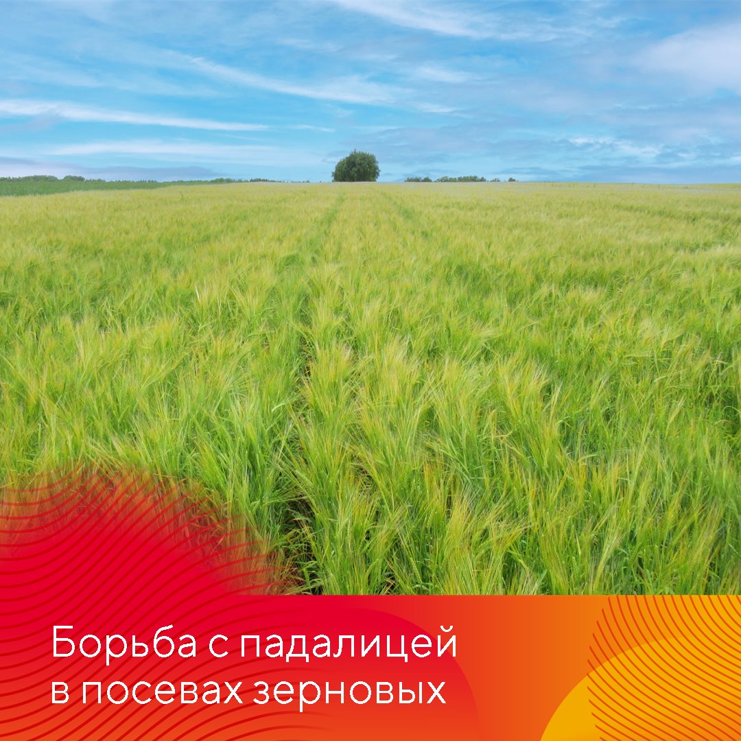 Пост 10.04.2025