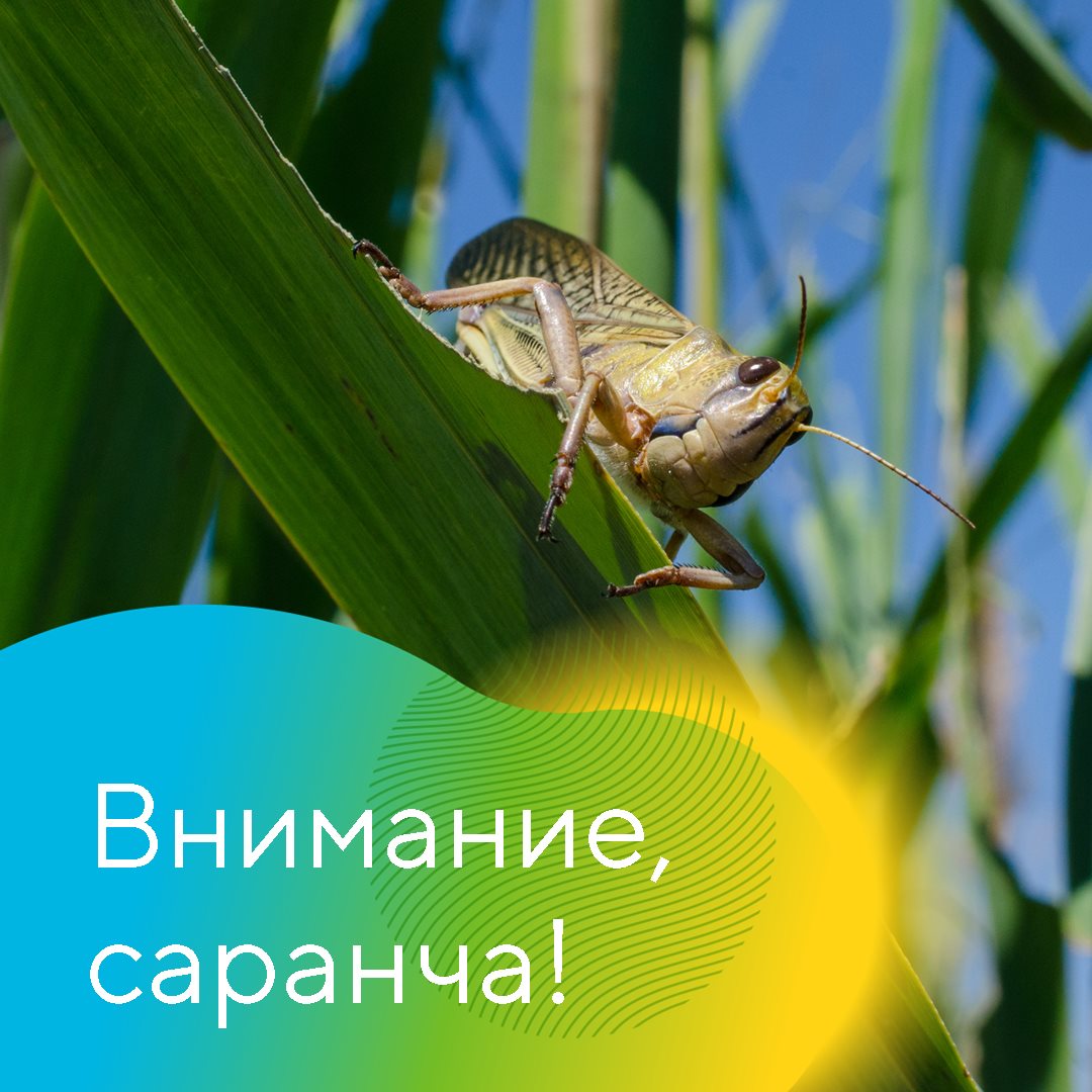 Пост 16.02.2025