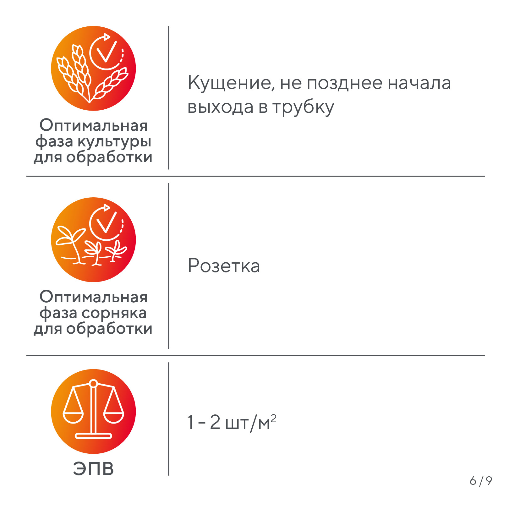 Пост 25.06.2026