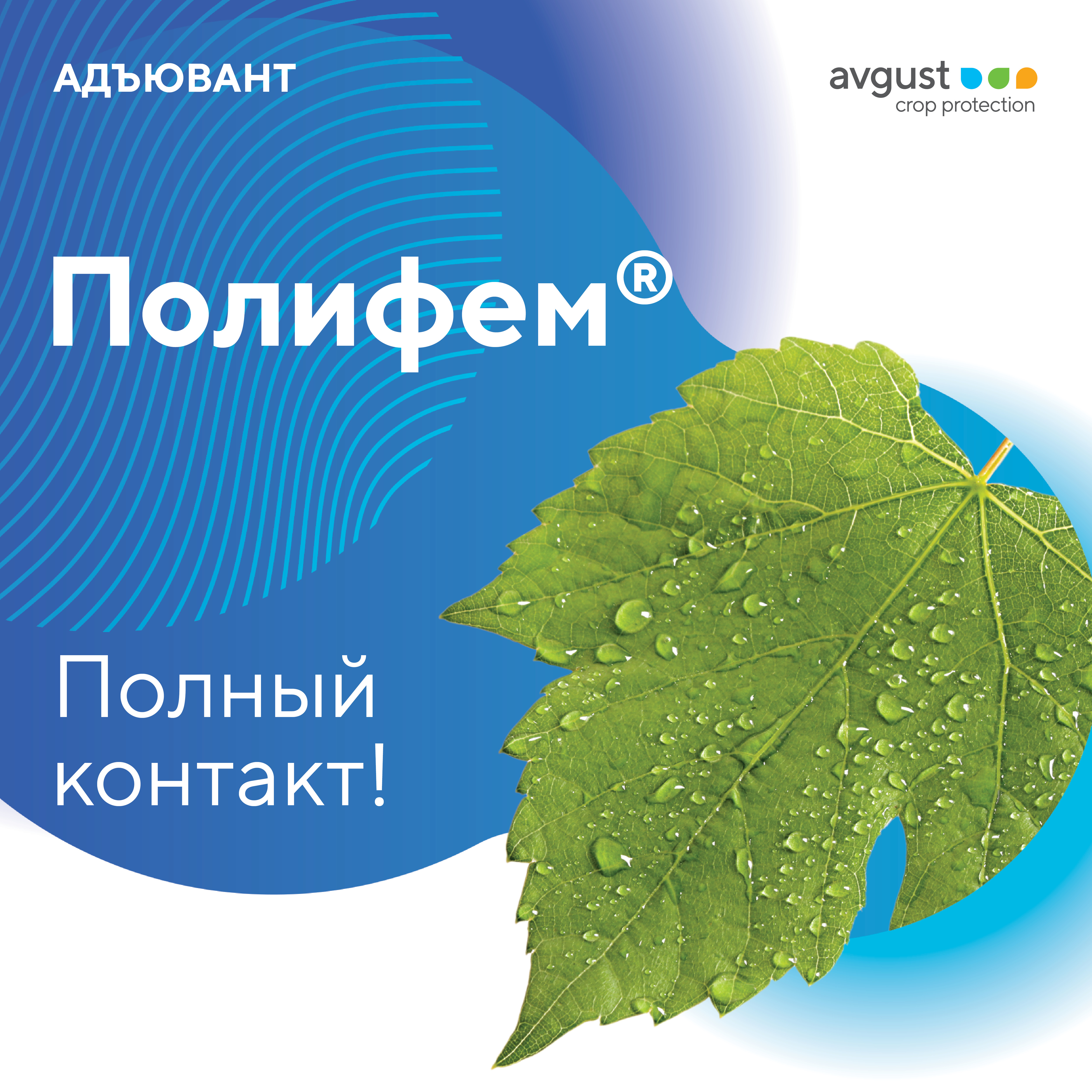 Пост 10.12.2024