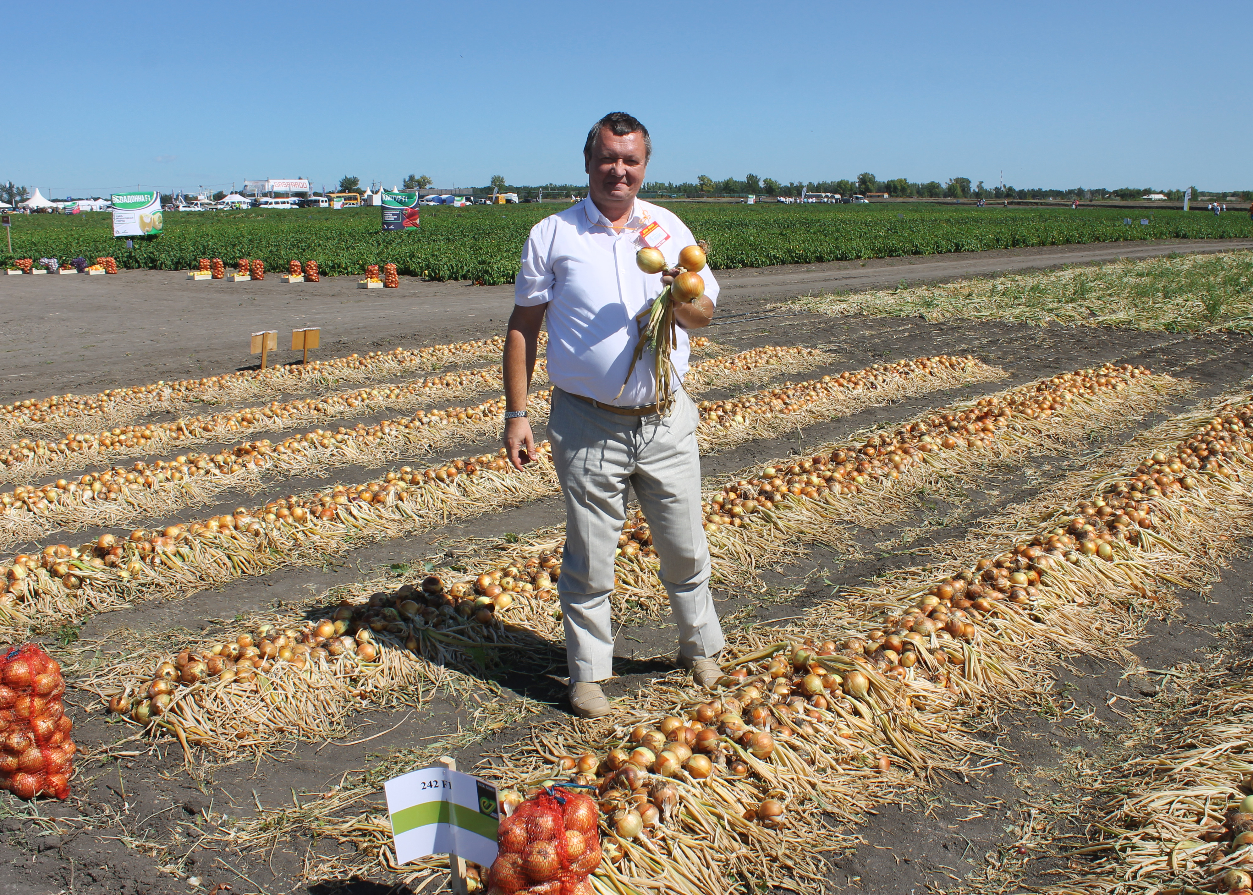 Пост 26.08.2025.1