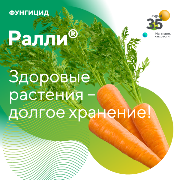 Пост 8.10.2025