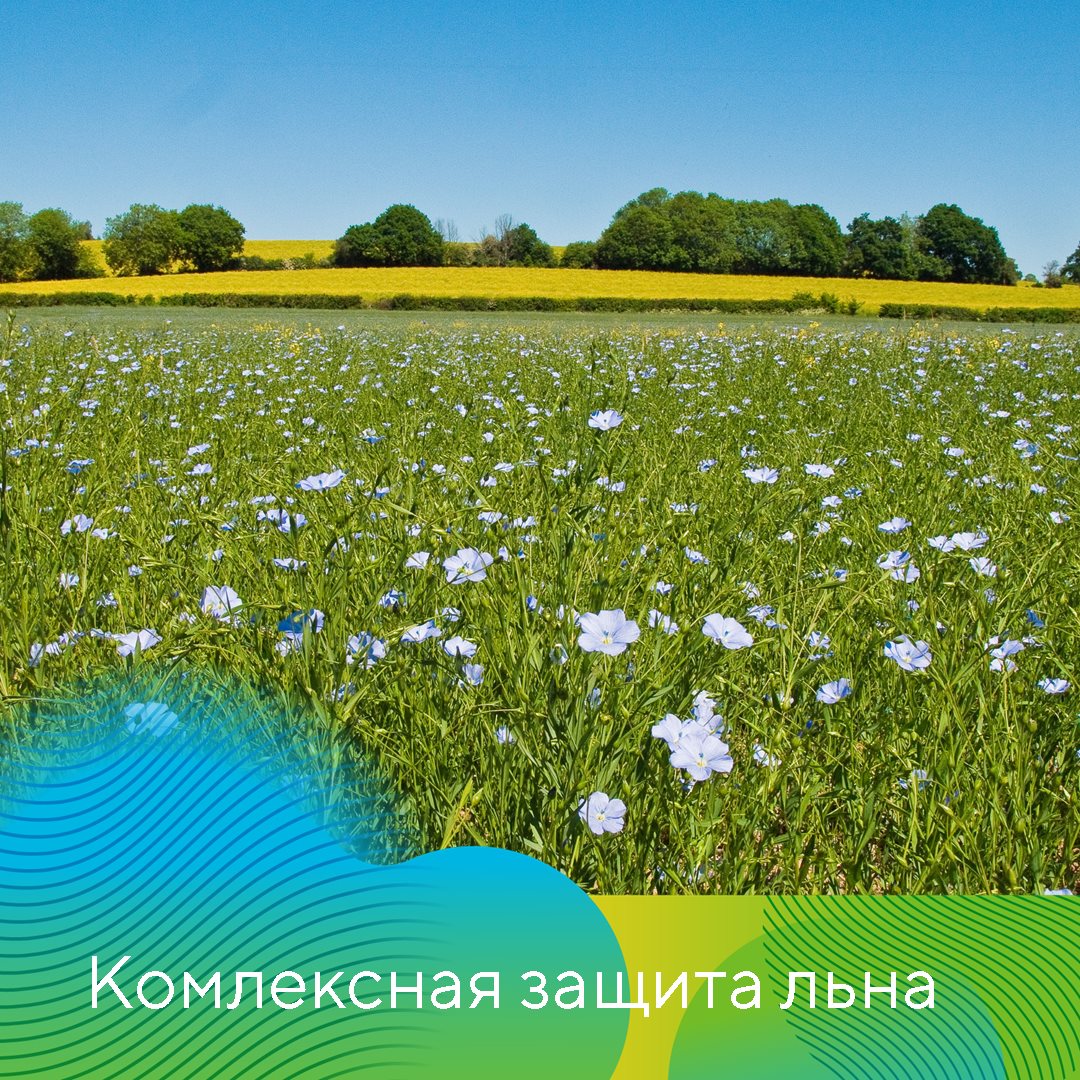 Пост 14.05.2026
