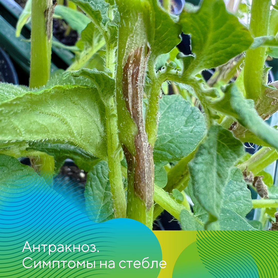 Пост 29.05.2026