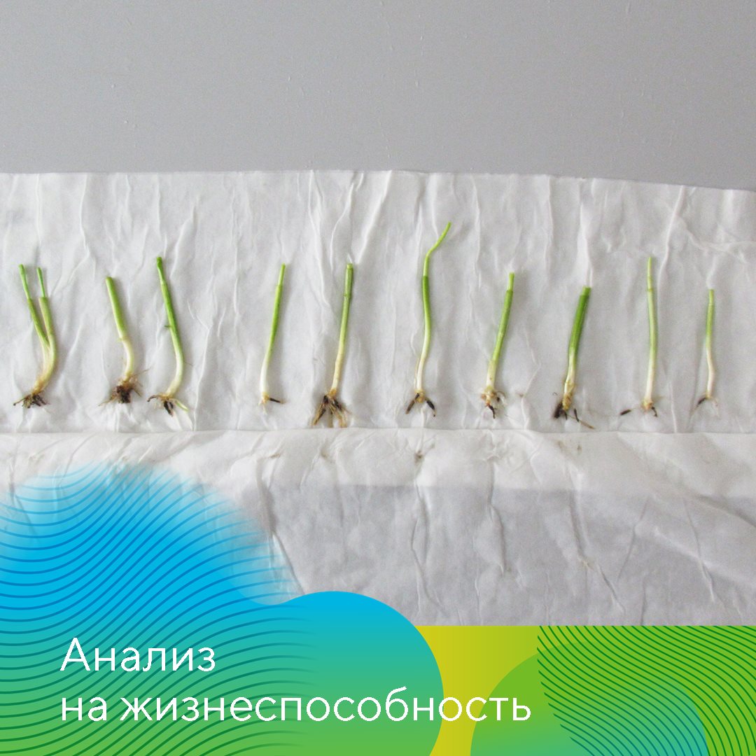 «АгроЛаборатория-Ливны» 12.12