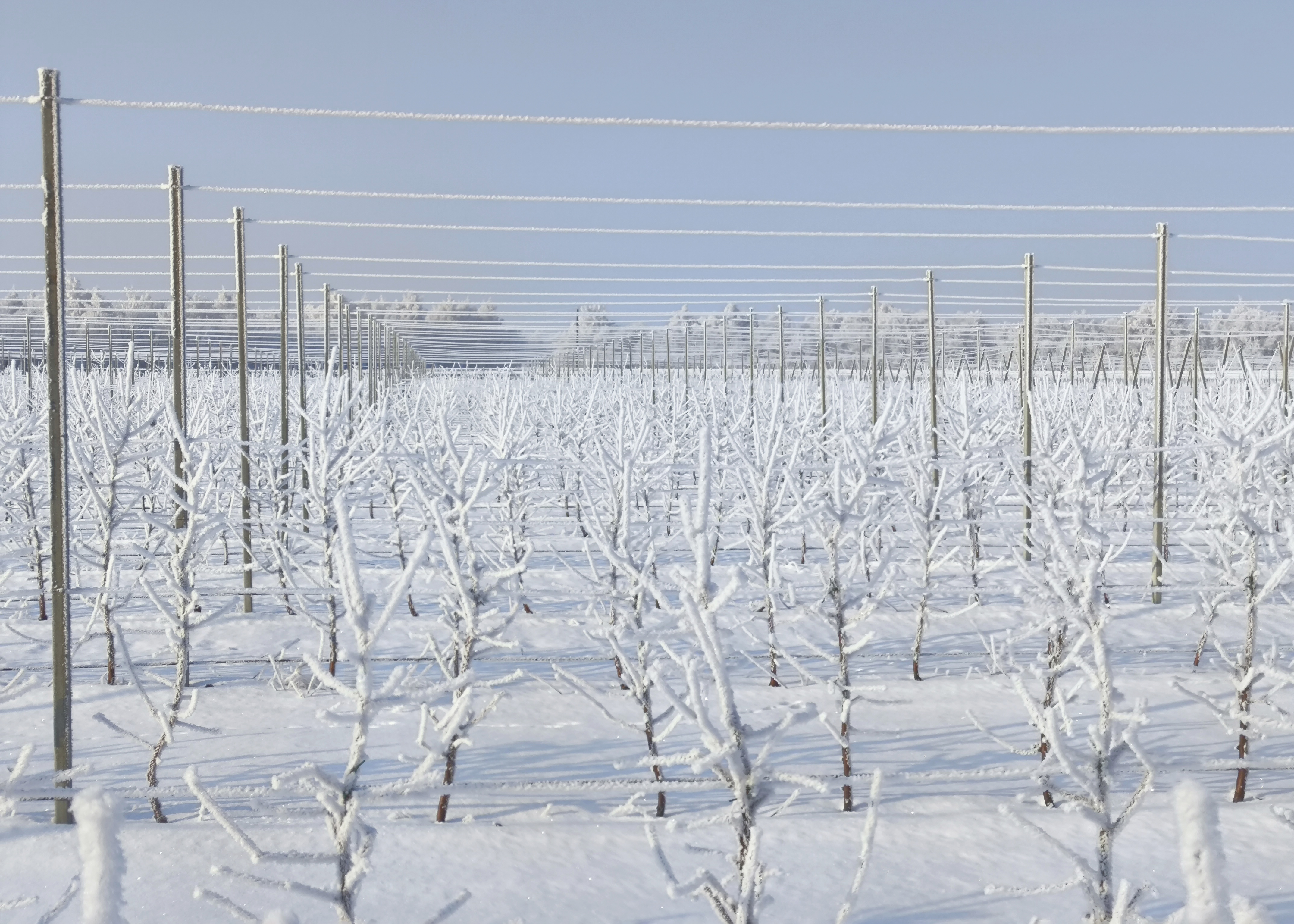 Пост 28.02.2025.1