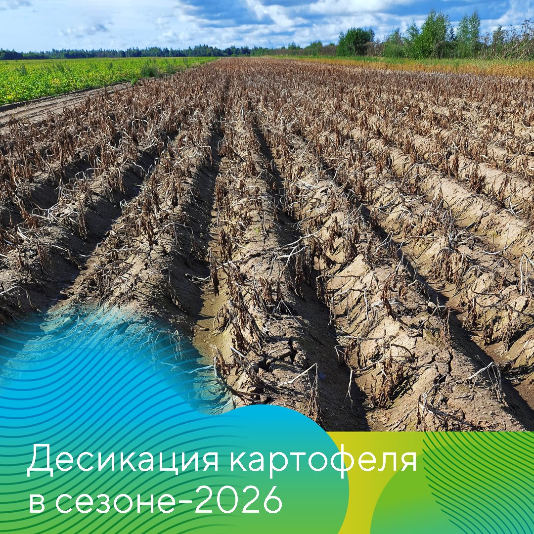 Пост 2.09.2026