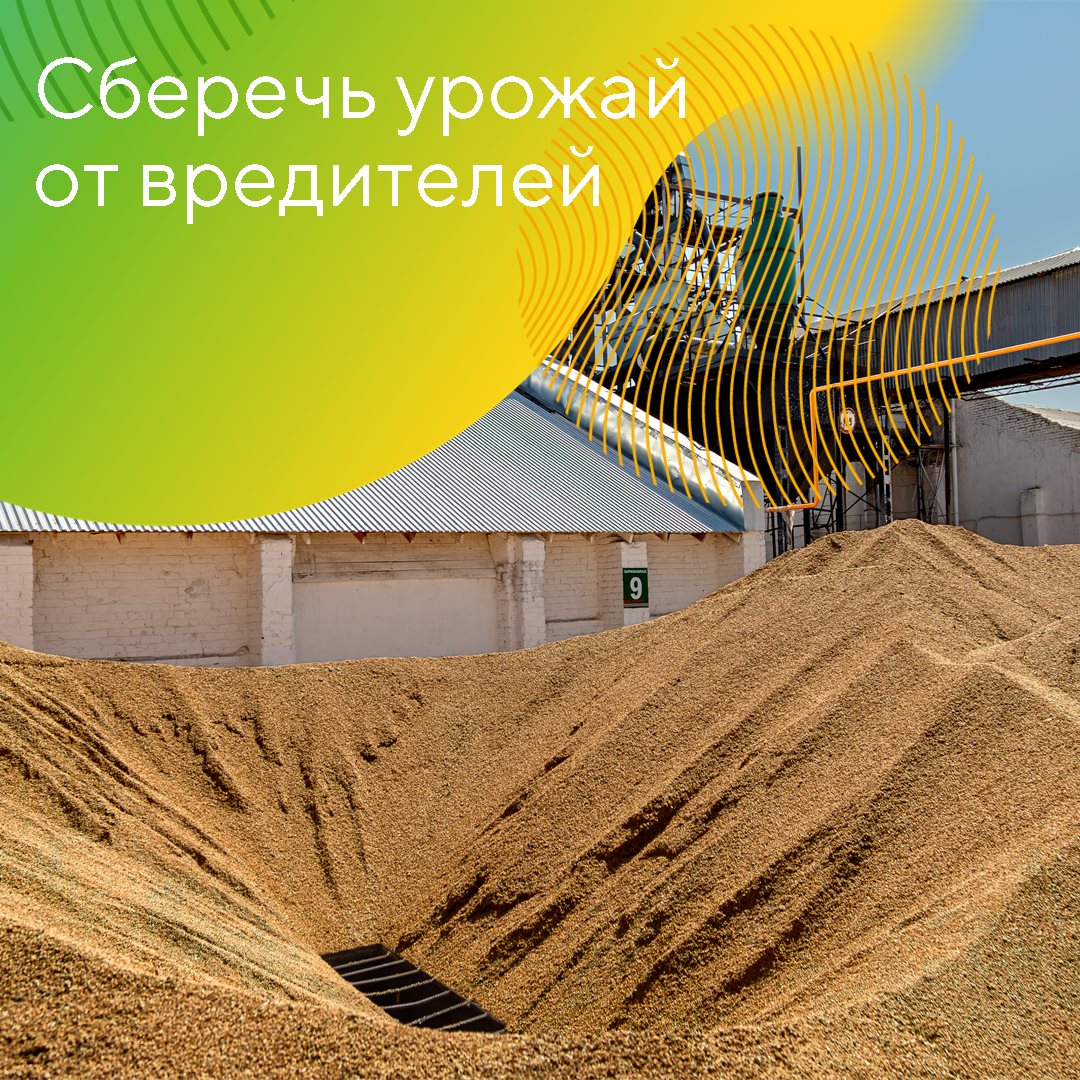 Пост 21.10.2026