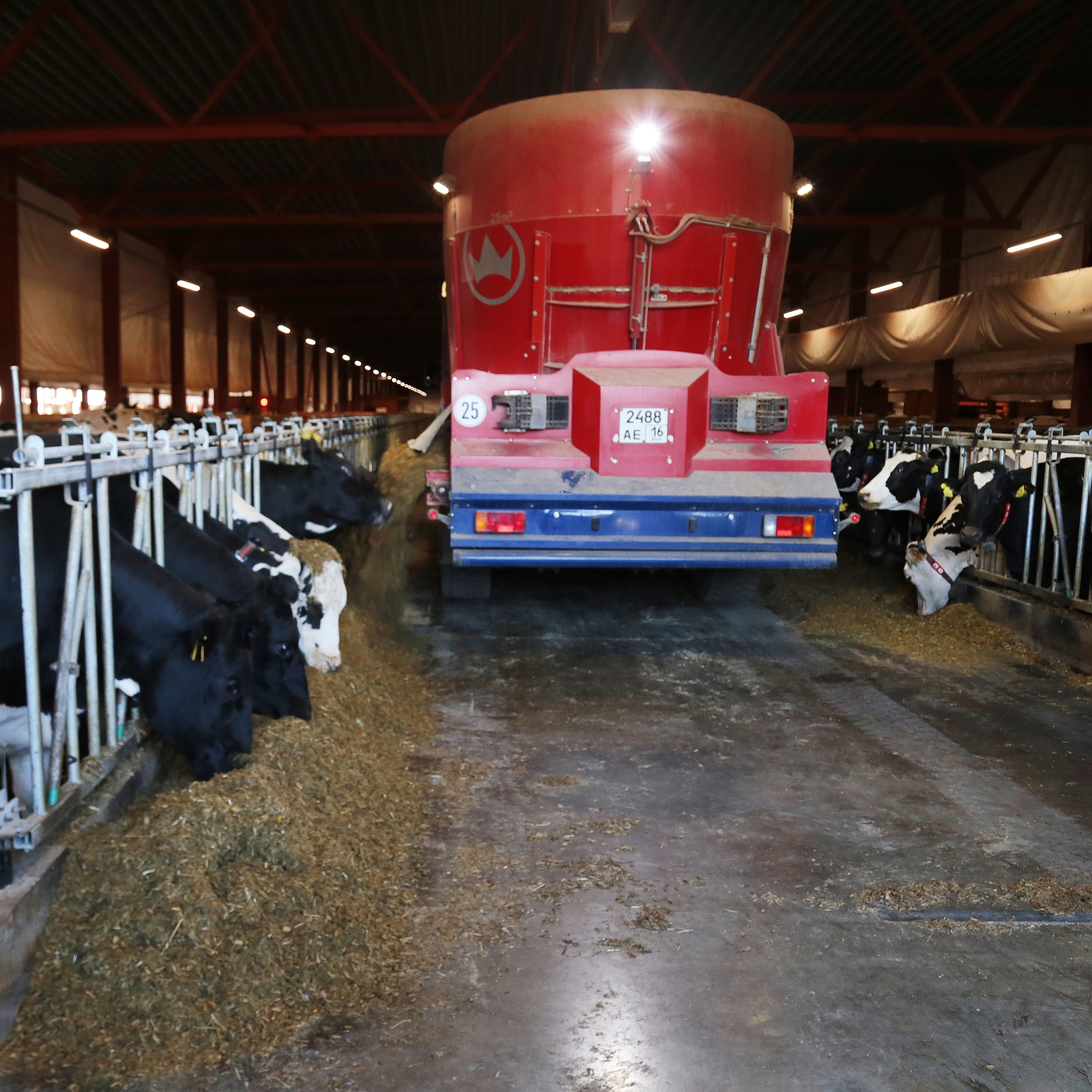 Новые фермы «Августа»