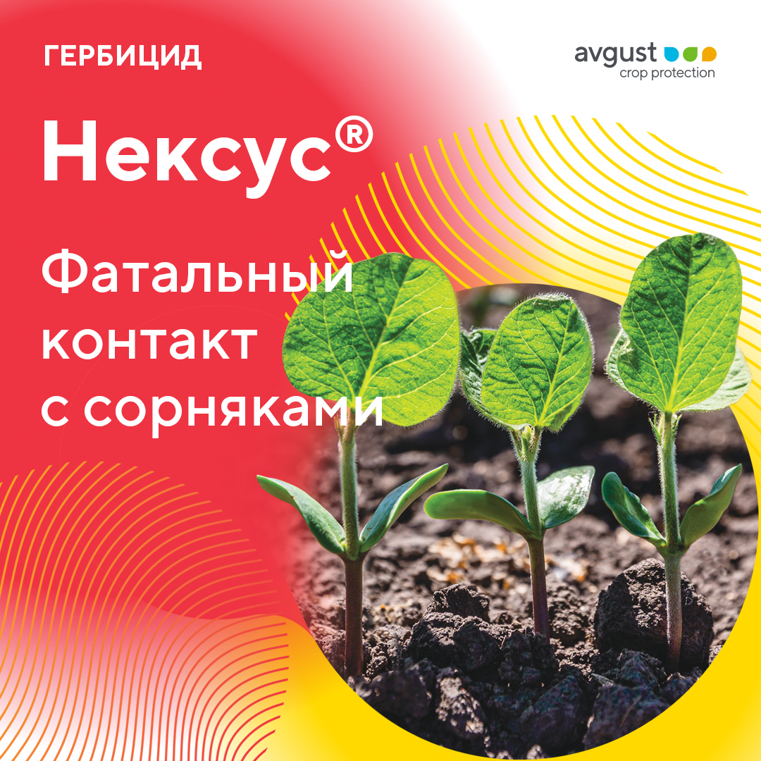 Нексус® – новый гербицид для защиты посевов сои 2022