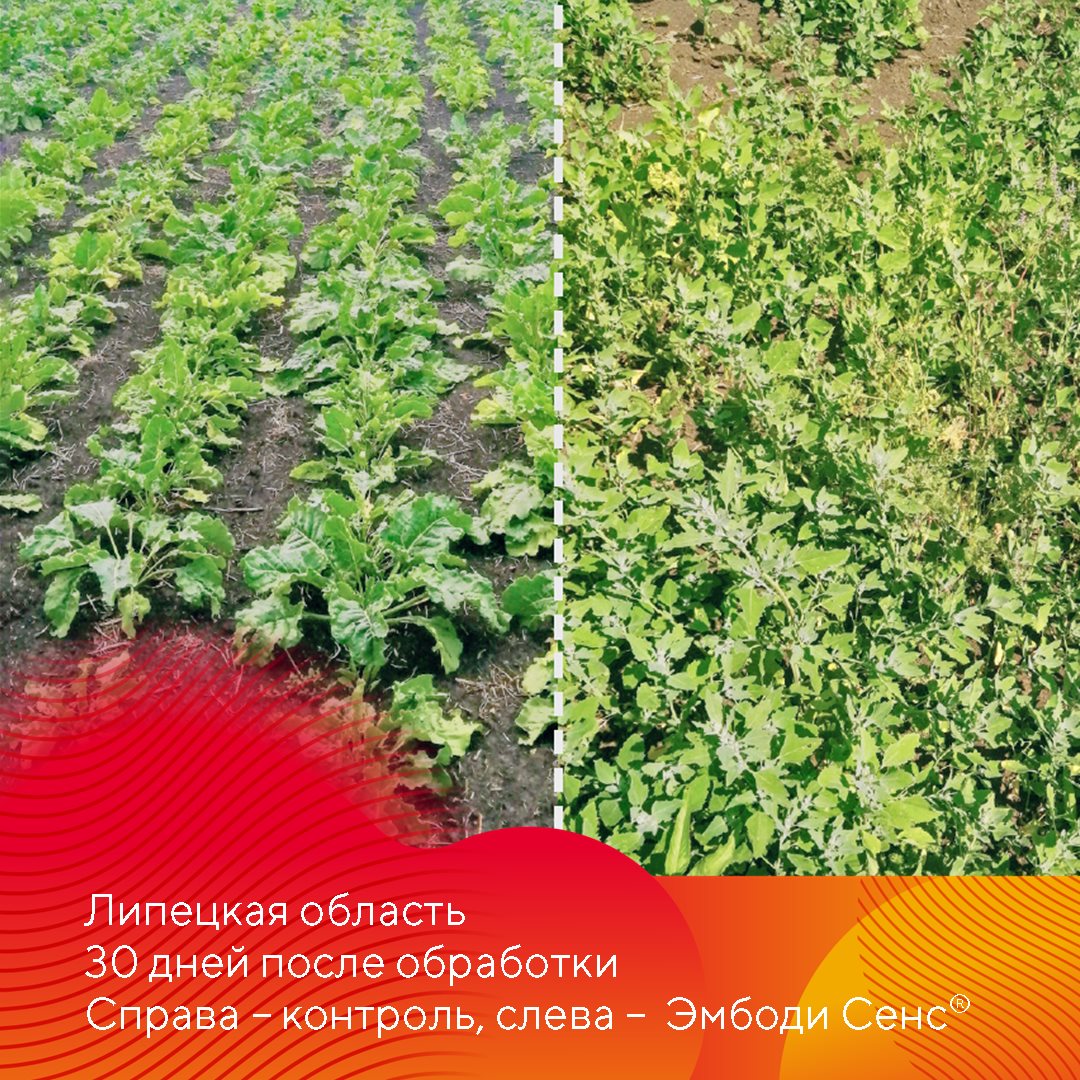 Пост 13.10.2026