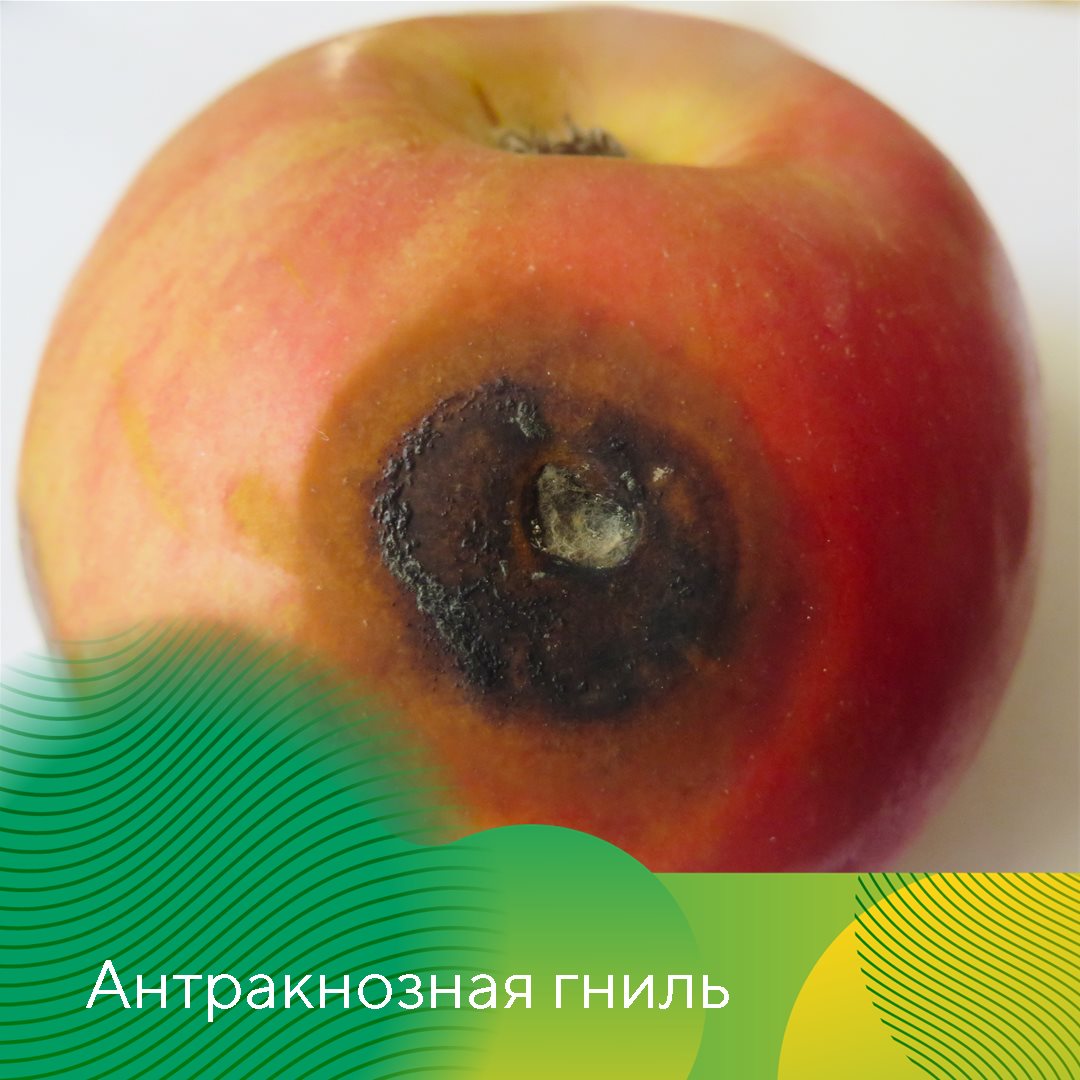 Пост 5.08.2026