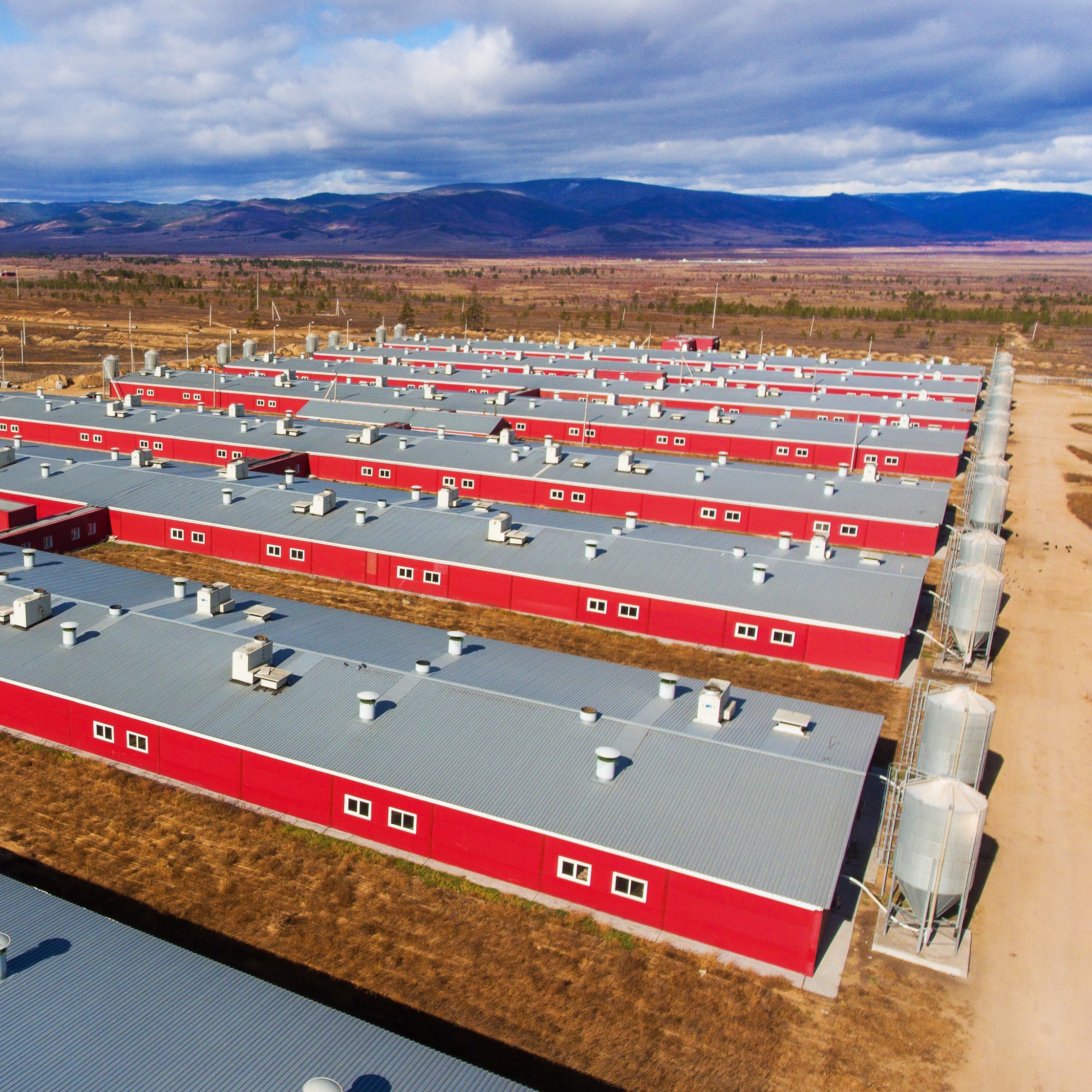 Сотрудничество с «Августом» в крупном агрохолдинге «Сибагро»