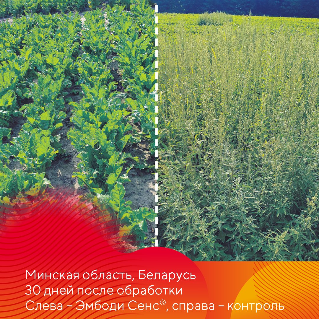 Пост 13.10.2026
