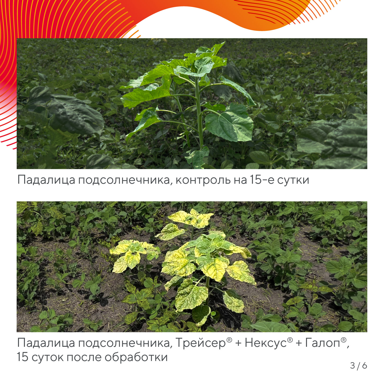 Пост 19.05.2026