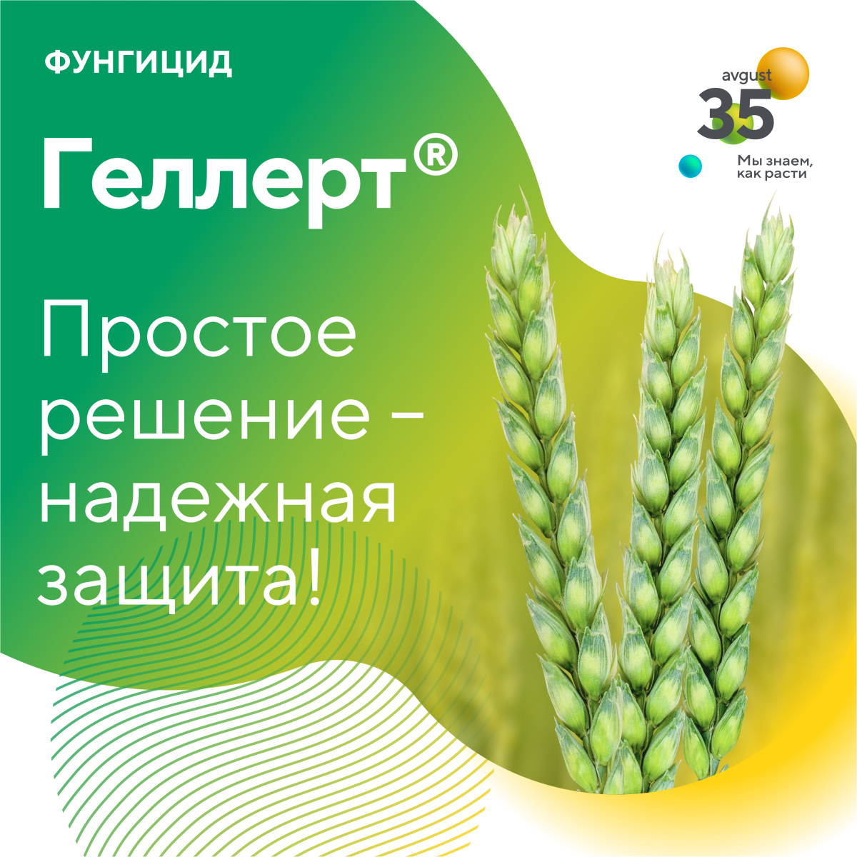 Пост 13.10.2025