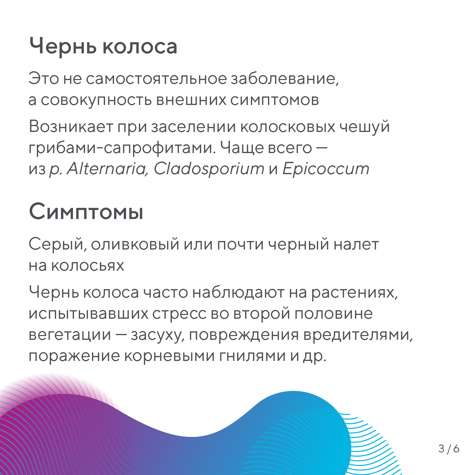 Пост 14.10.2026