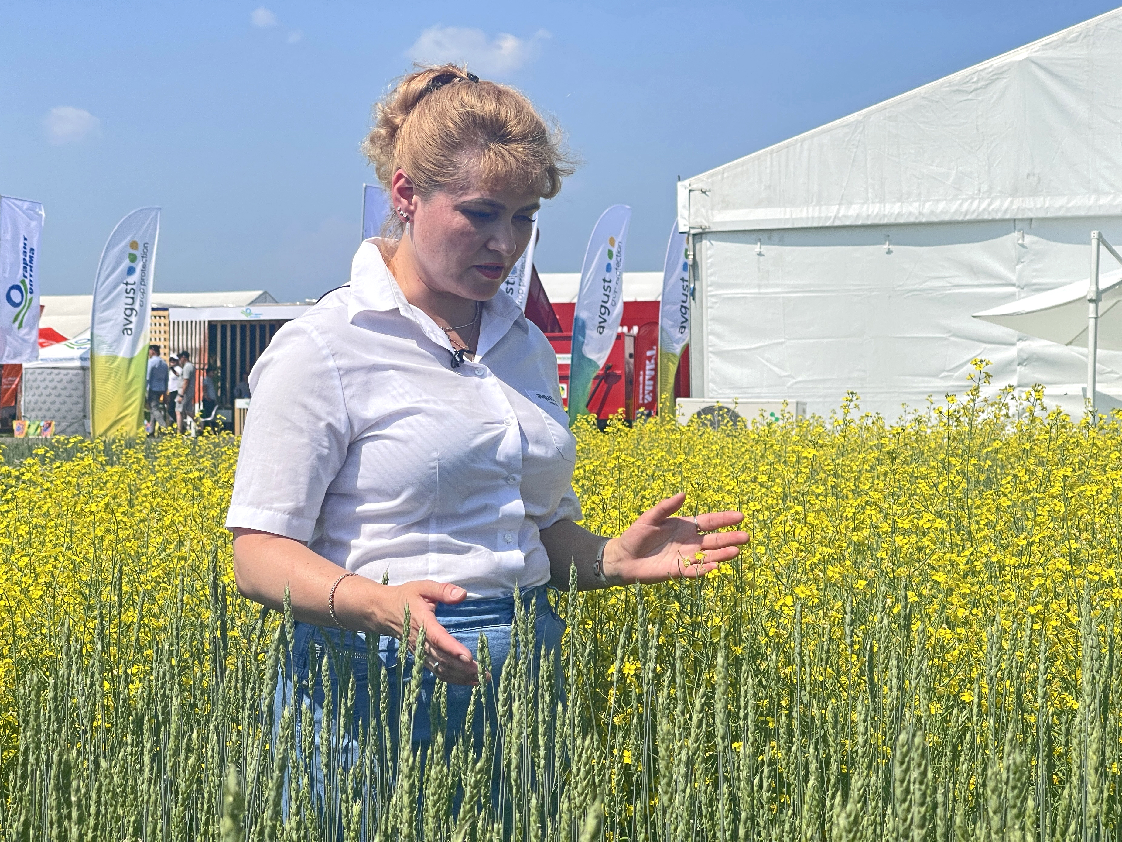 Агроволга 2 2024