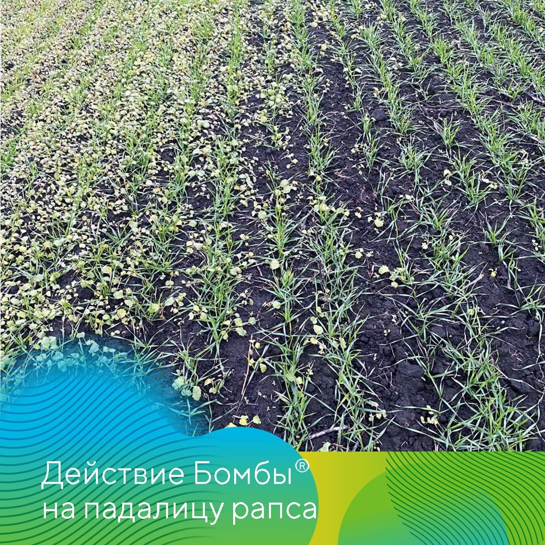 ООО НПК «АгроЛидер» 2022