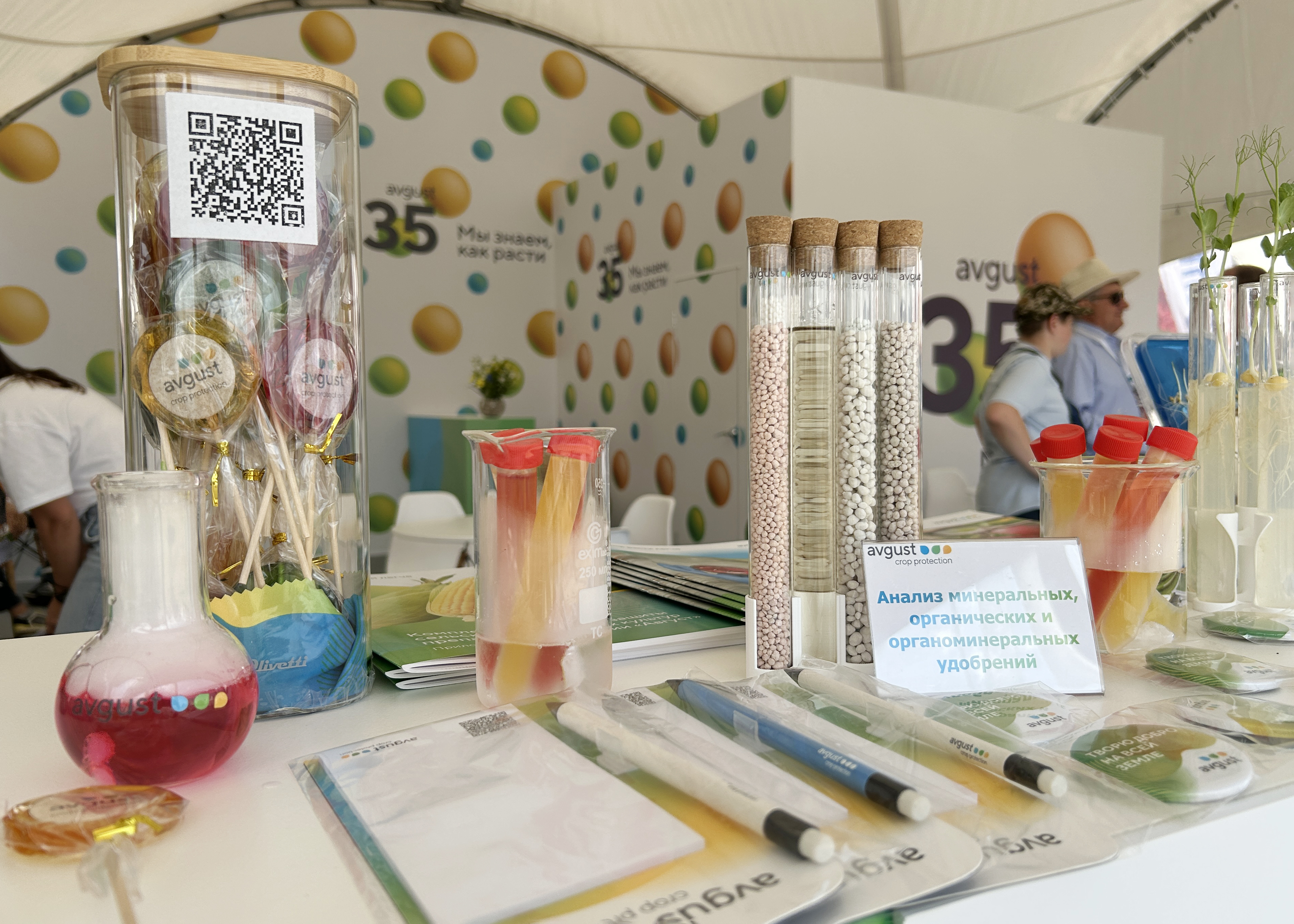 Пост 10.06.2025.1