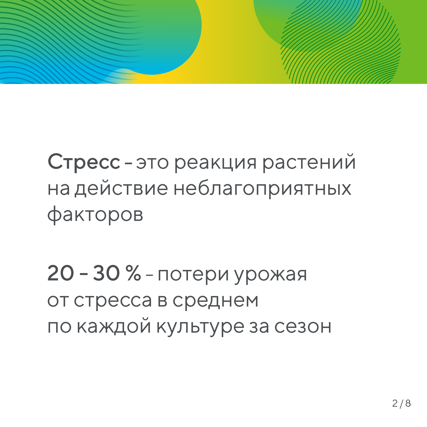 Пост 20.01.2026.1