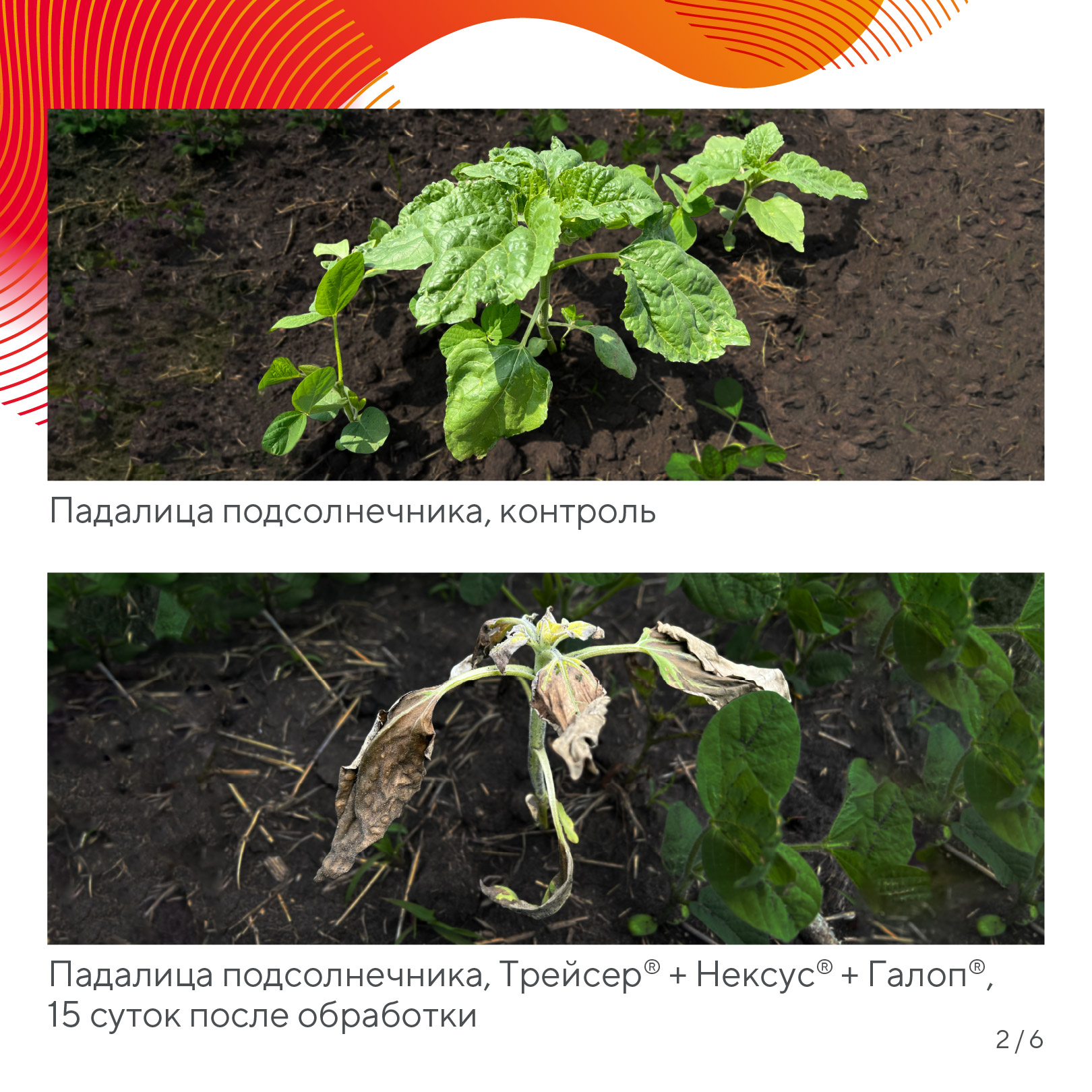 Пост 19.05.2026