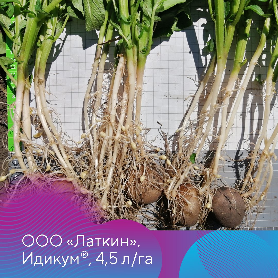 Идикум® 11.04