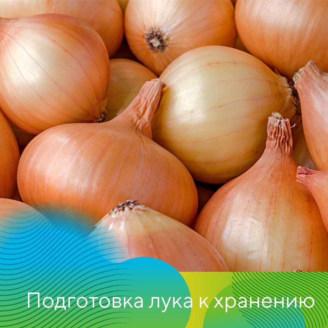 Пост 26.08.2025.1
