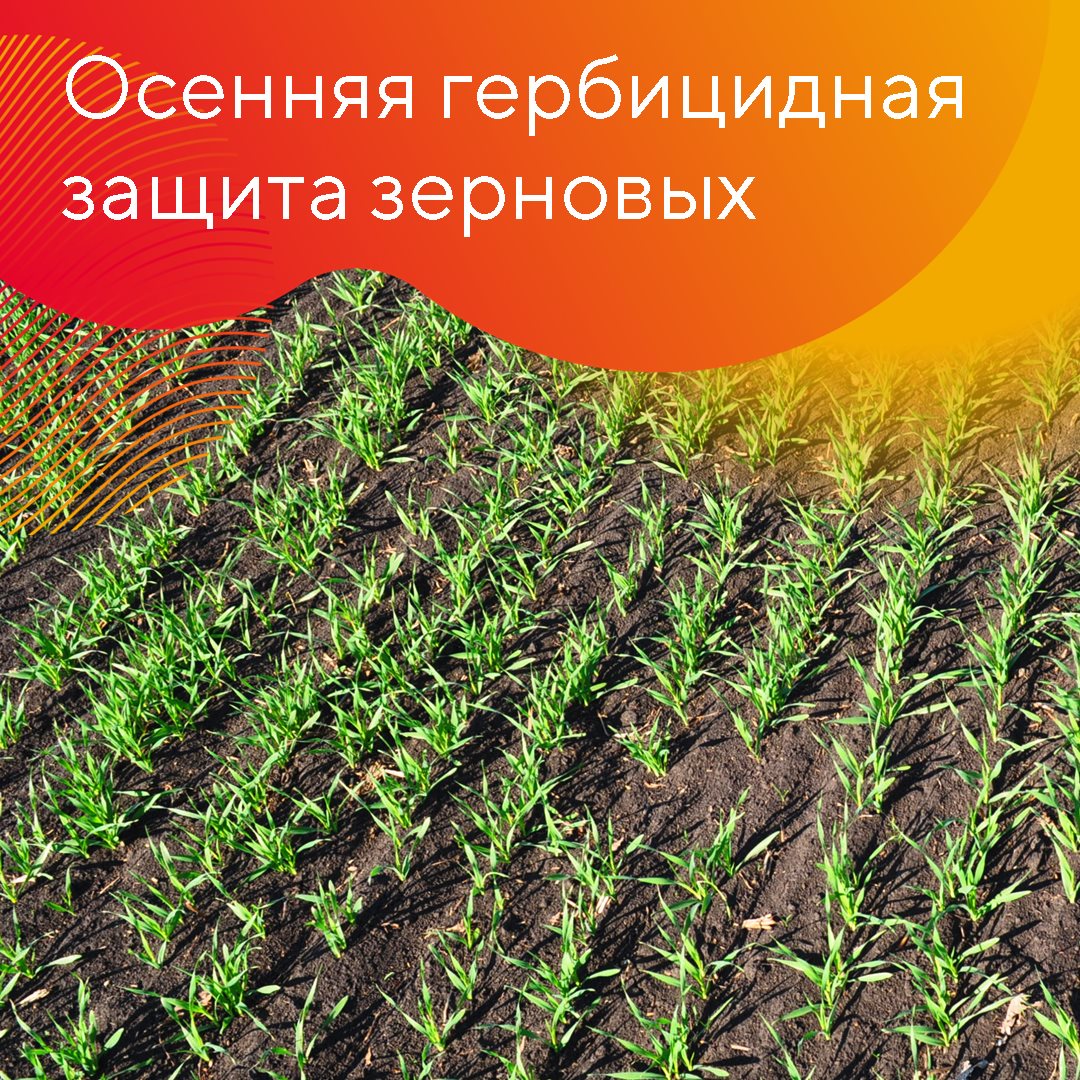 Рассказывает менеджер-технолог представительства «Августа» в Саранске Андрей Савельев 2022