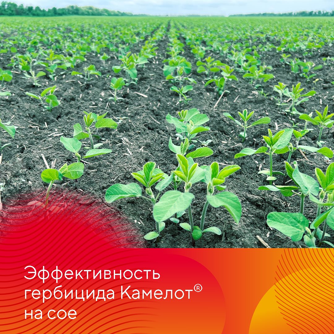 Пост 30.04.2025