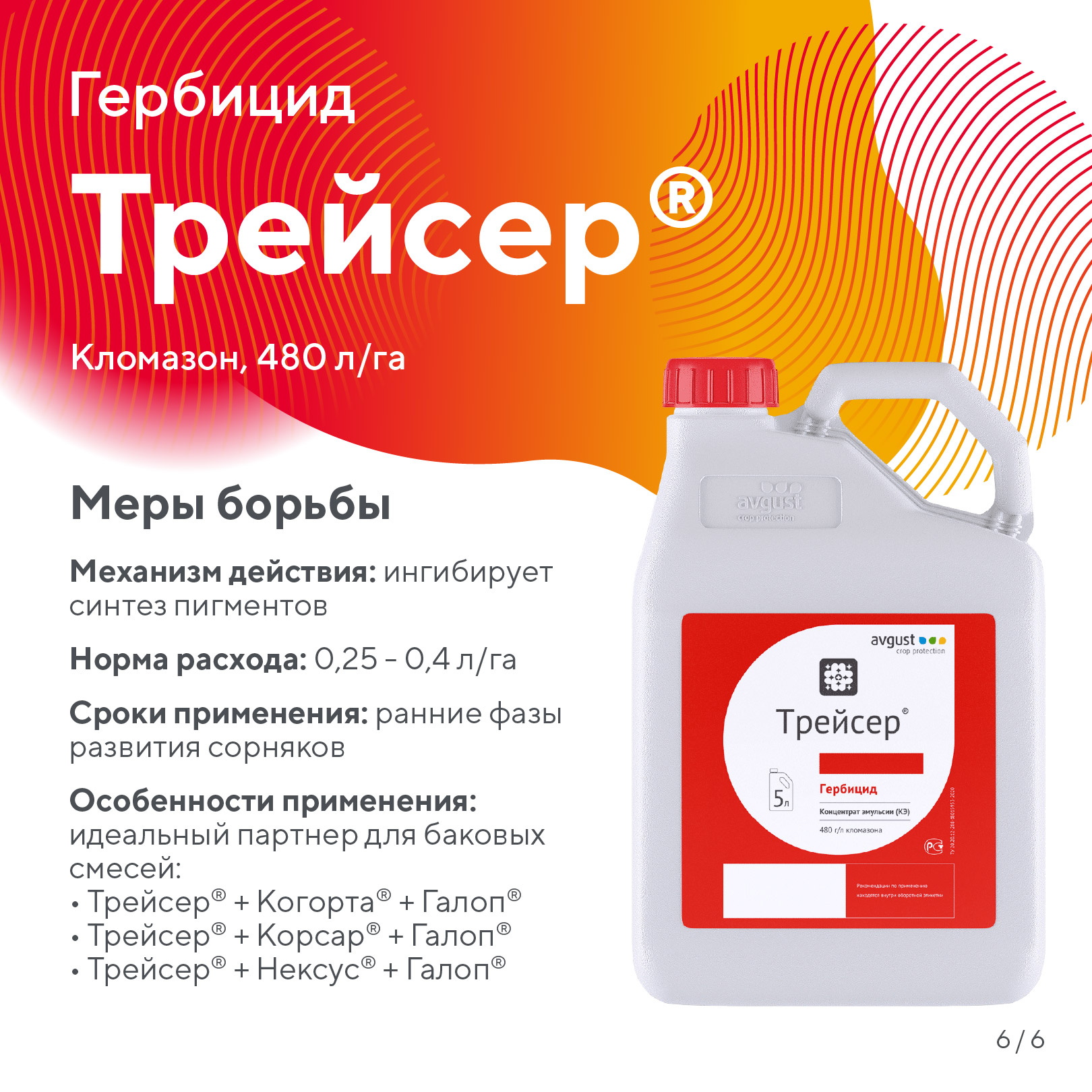 Пост 19.05.2026