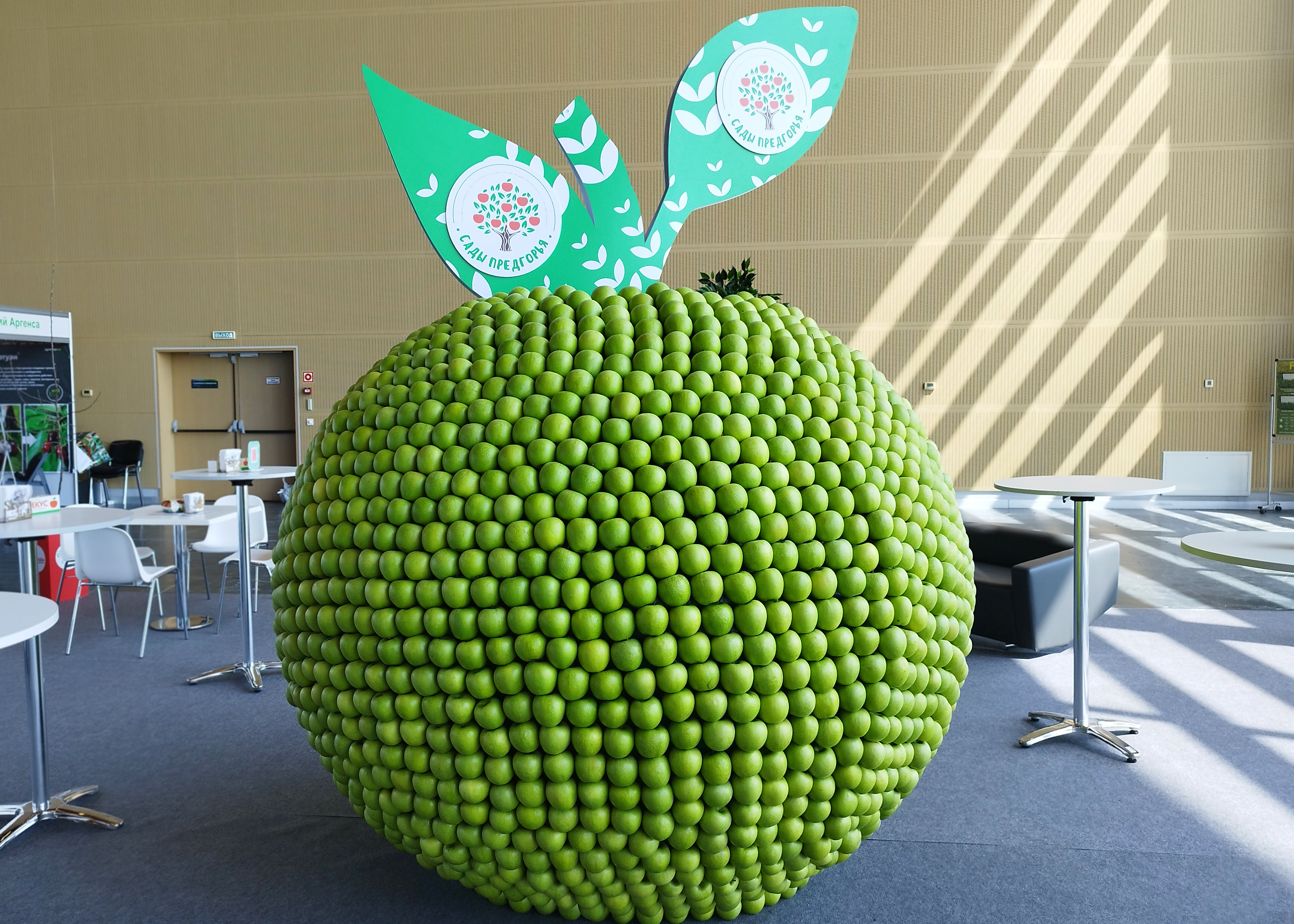 МинводыЭКСПО 2024 13.06