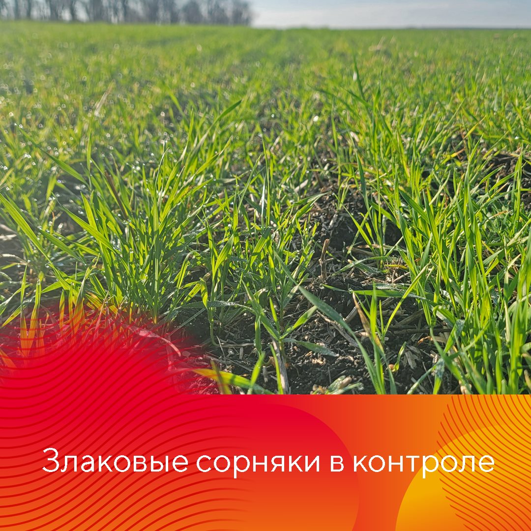 Пост 17.09.2026