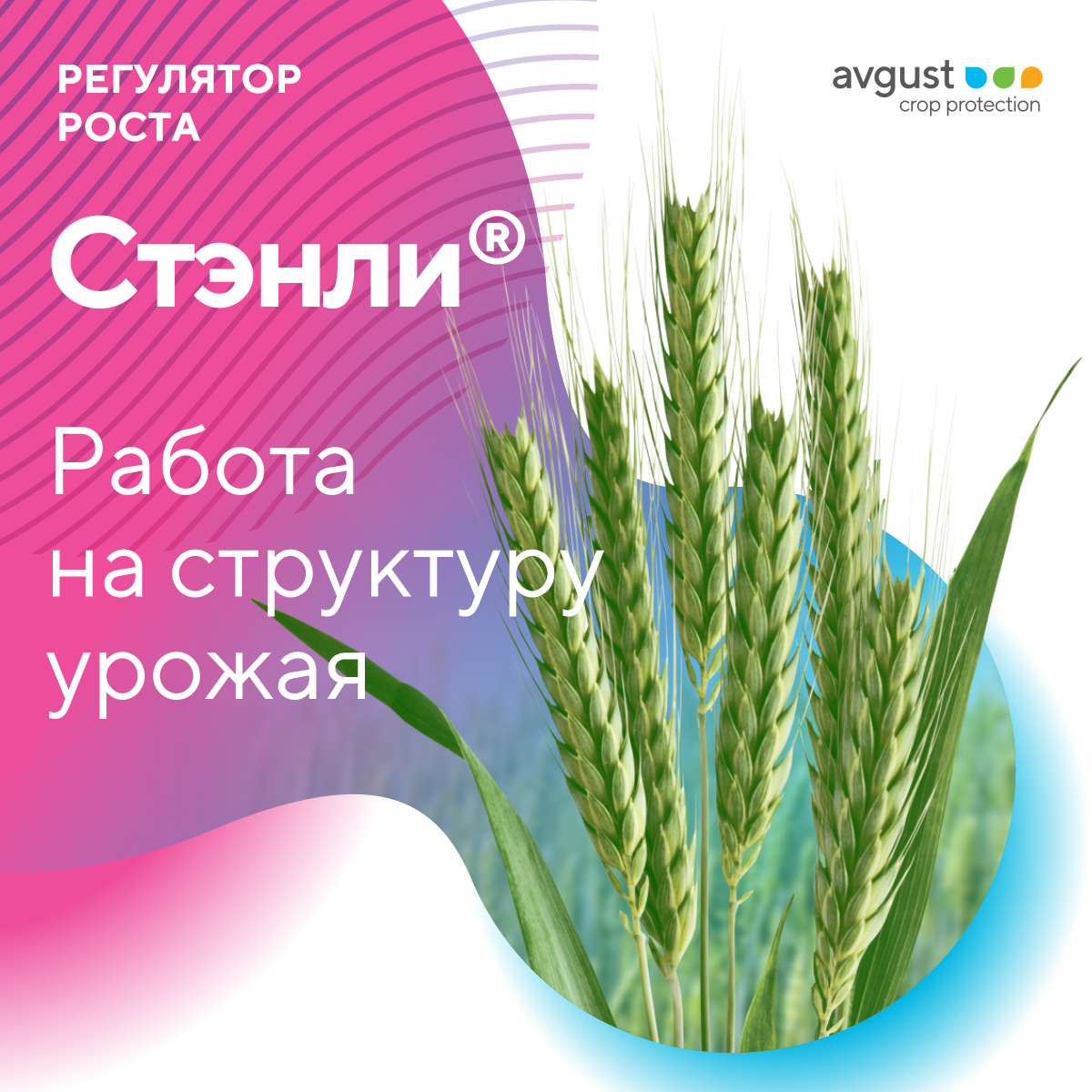 Пост 21.09.2026