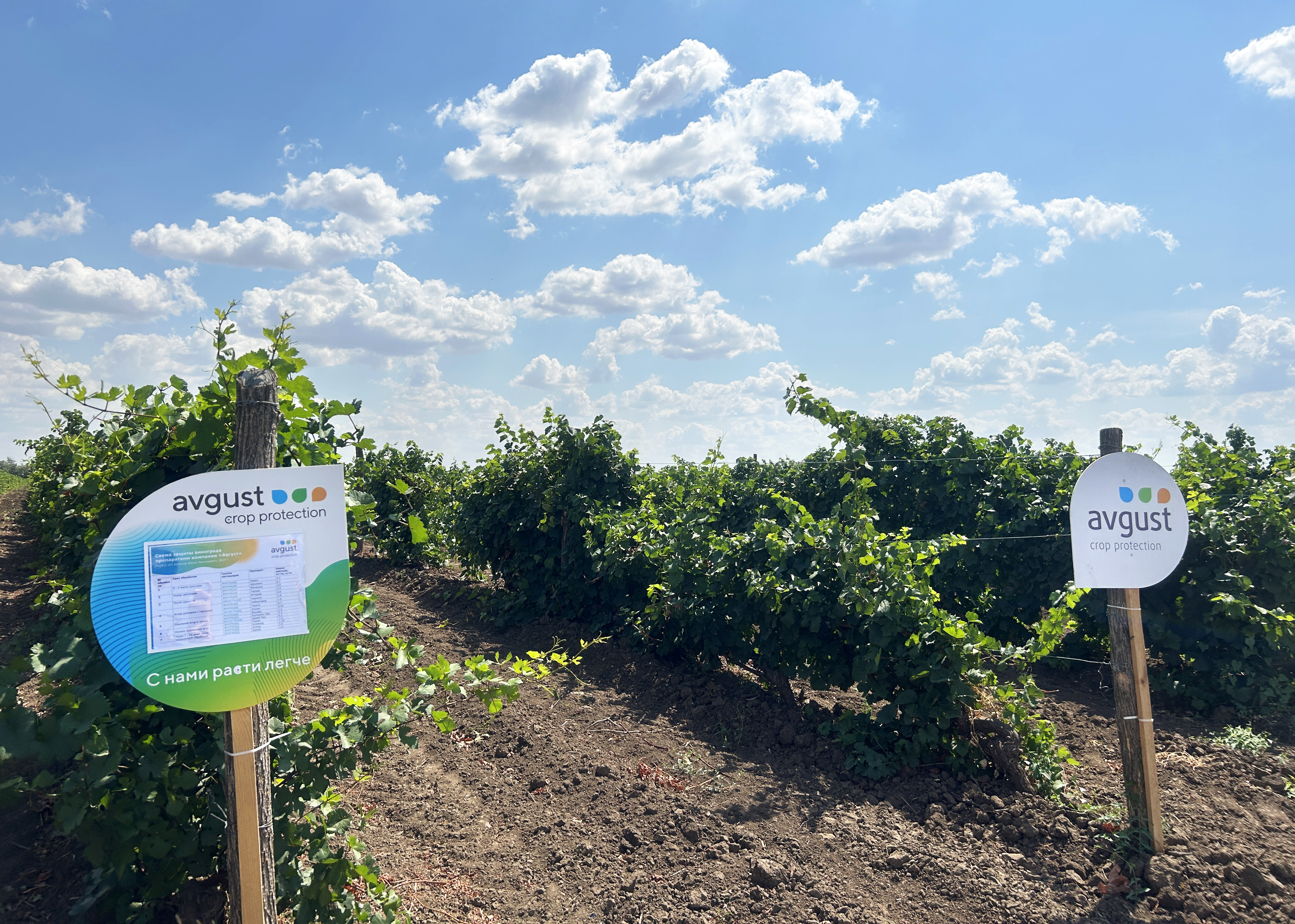 Пост 13.08.24 доп