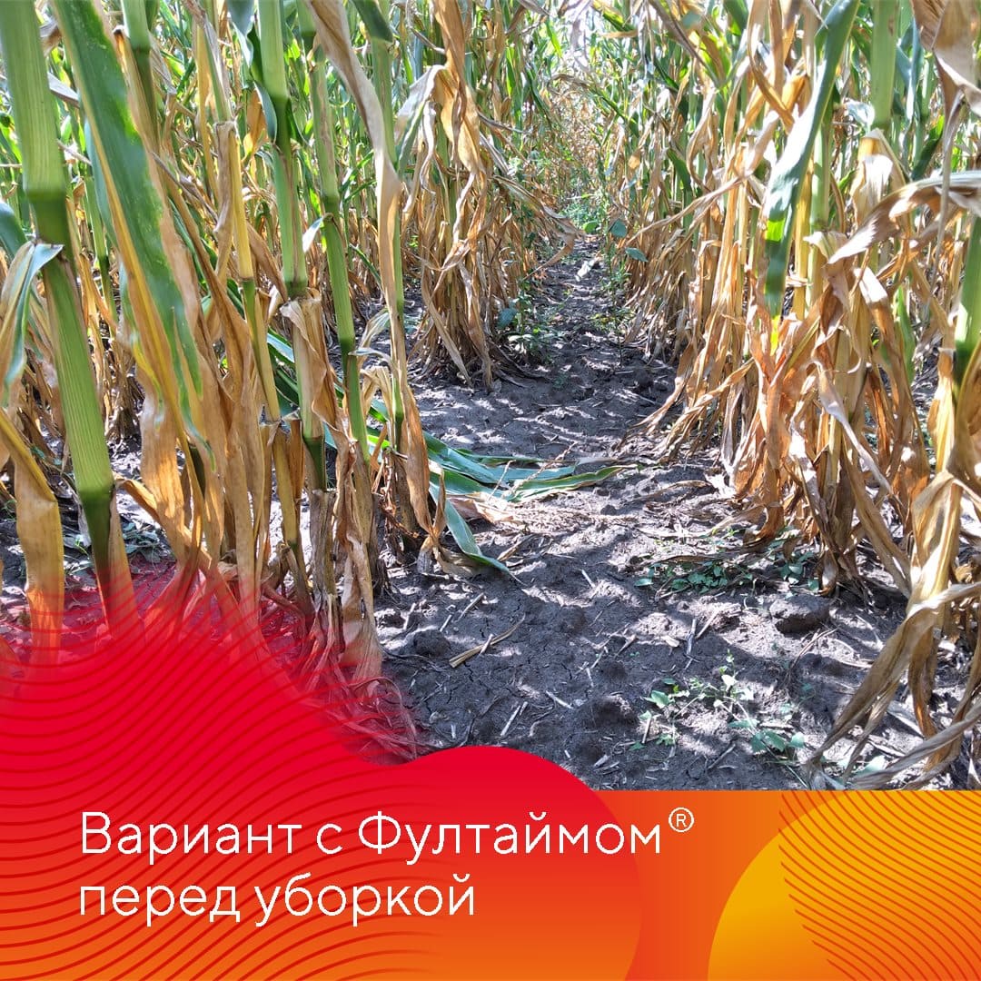 В 2022 г. в России Фултайм® применили на площади 150 тыс. га