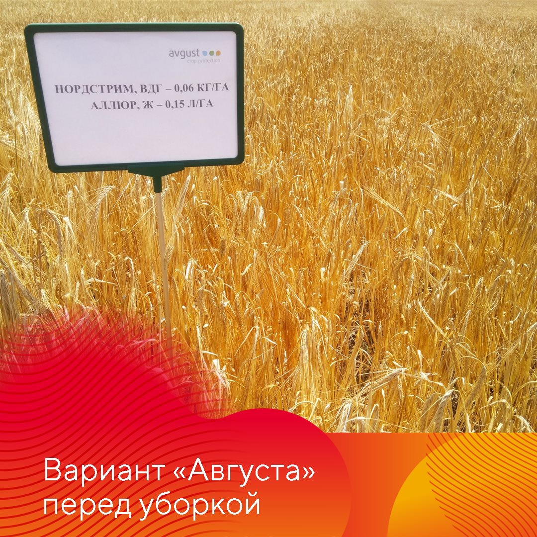 НордСтрим