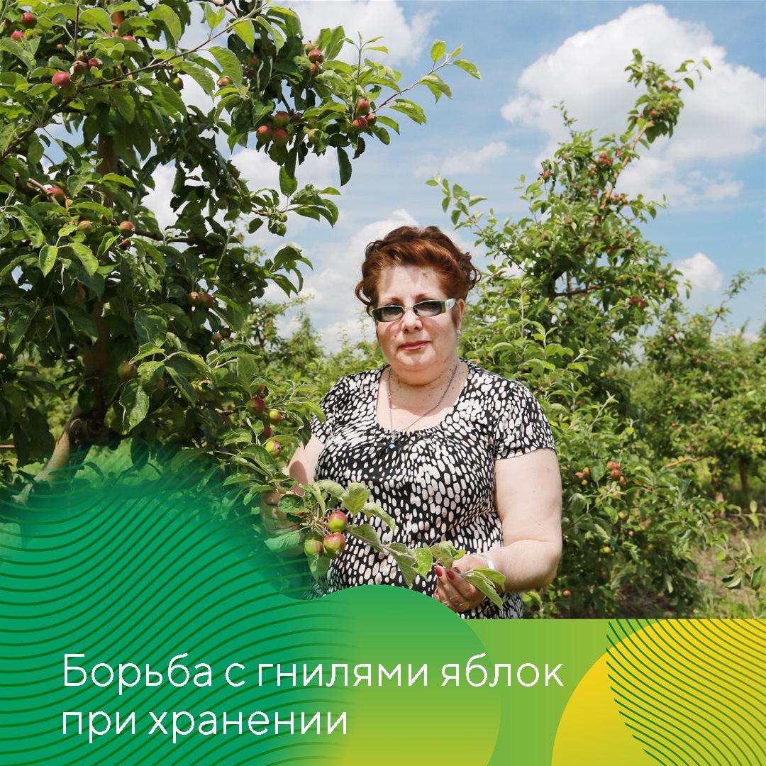 Пост 5.08.2026